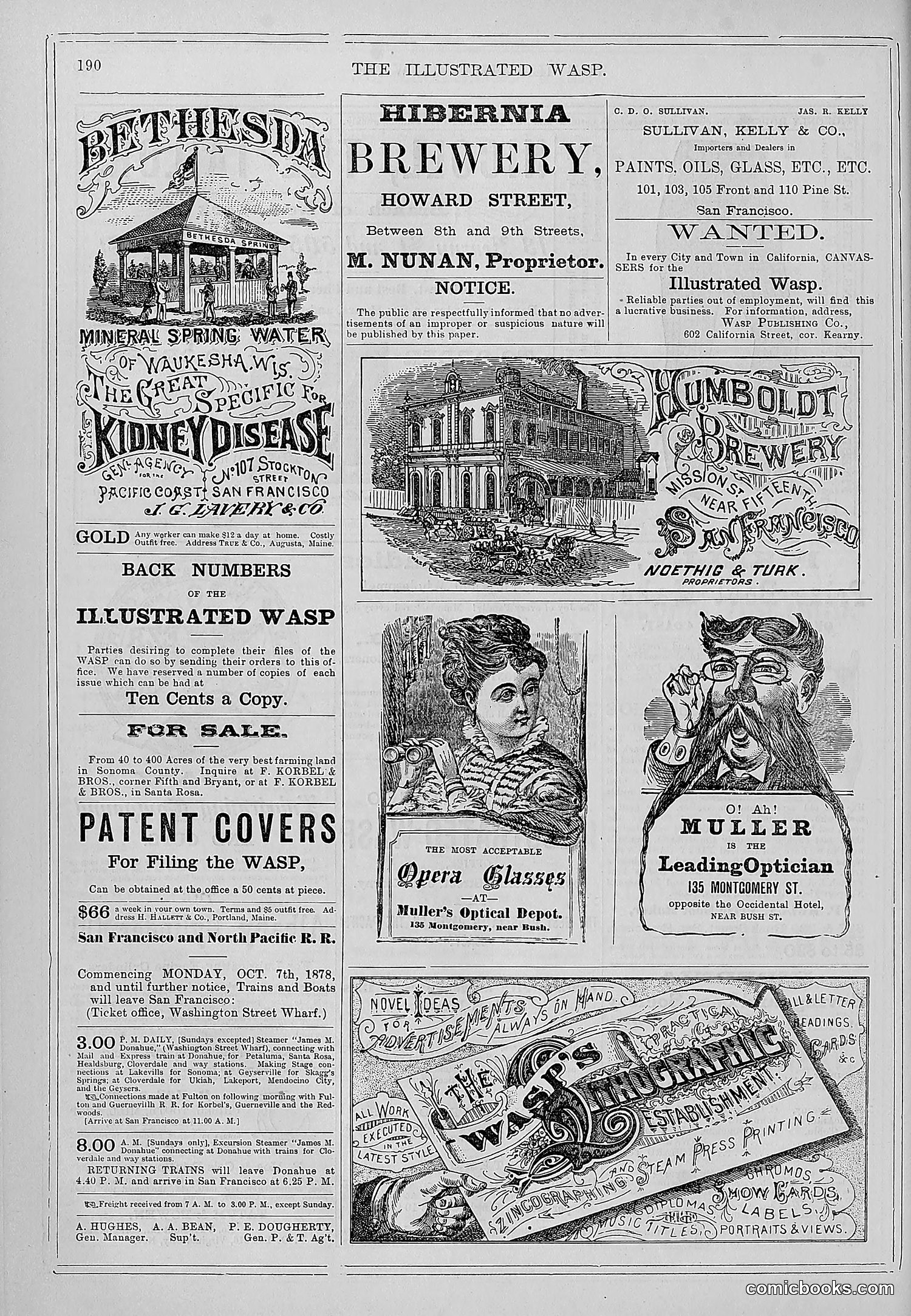 The Wasp — 1878 — page 197 of 364