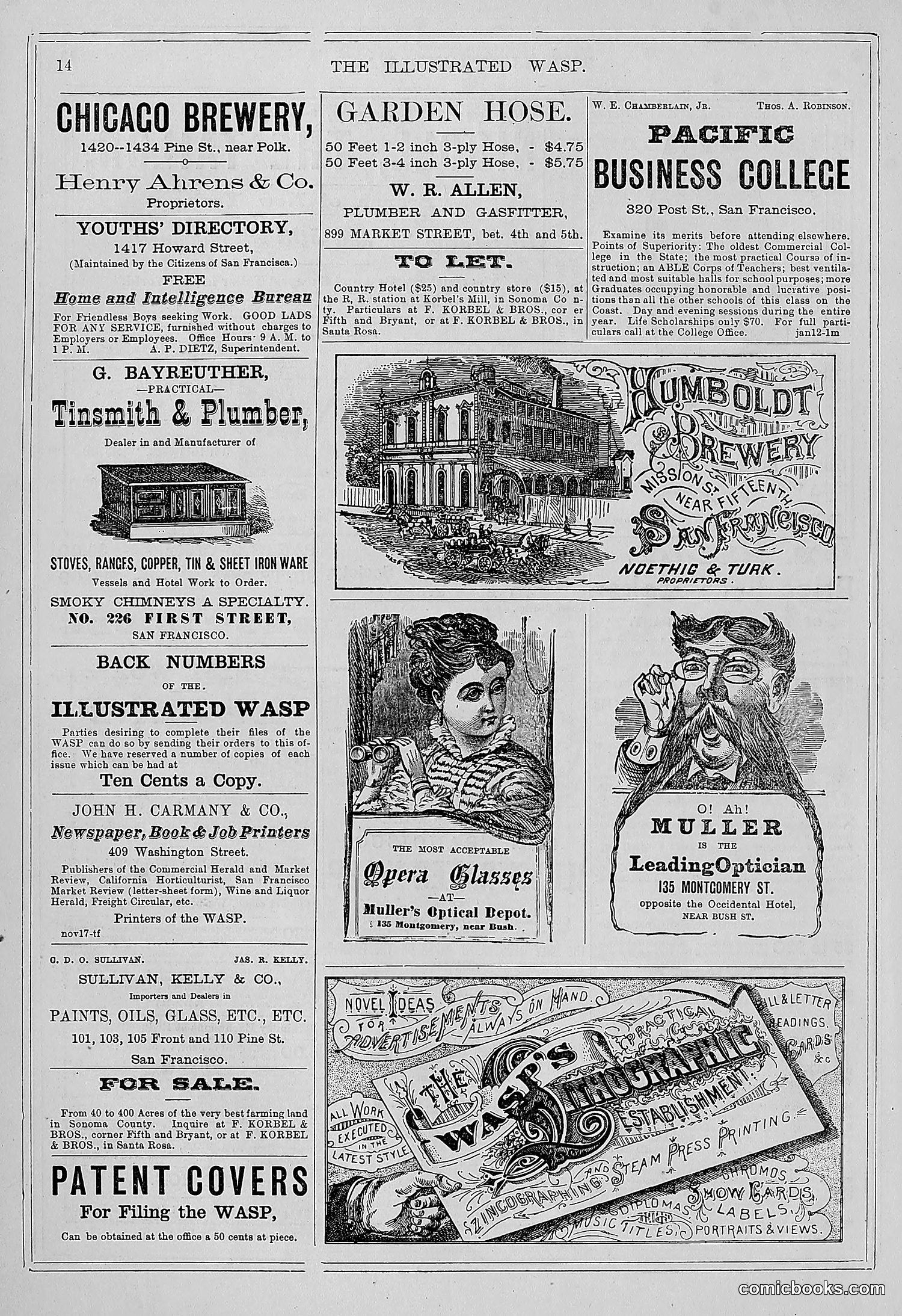 The Wasp — 1878 — page 21 of 364