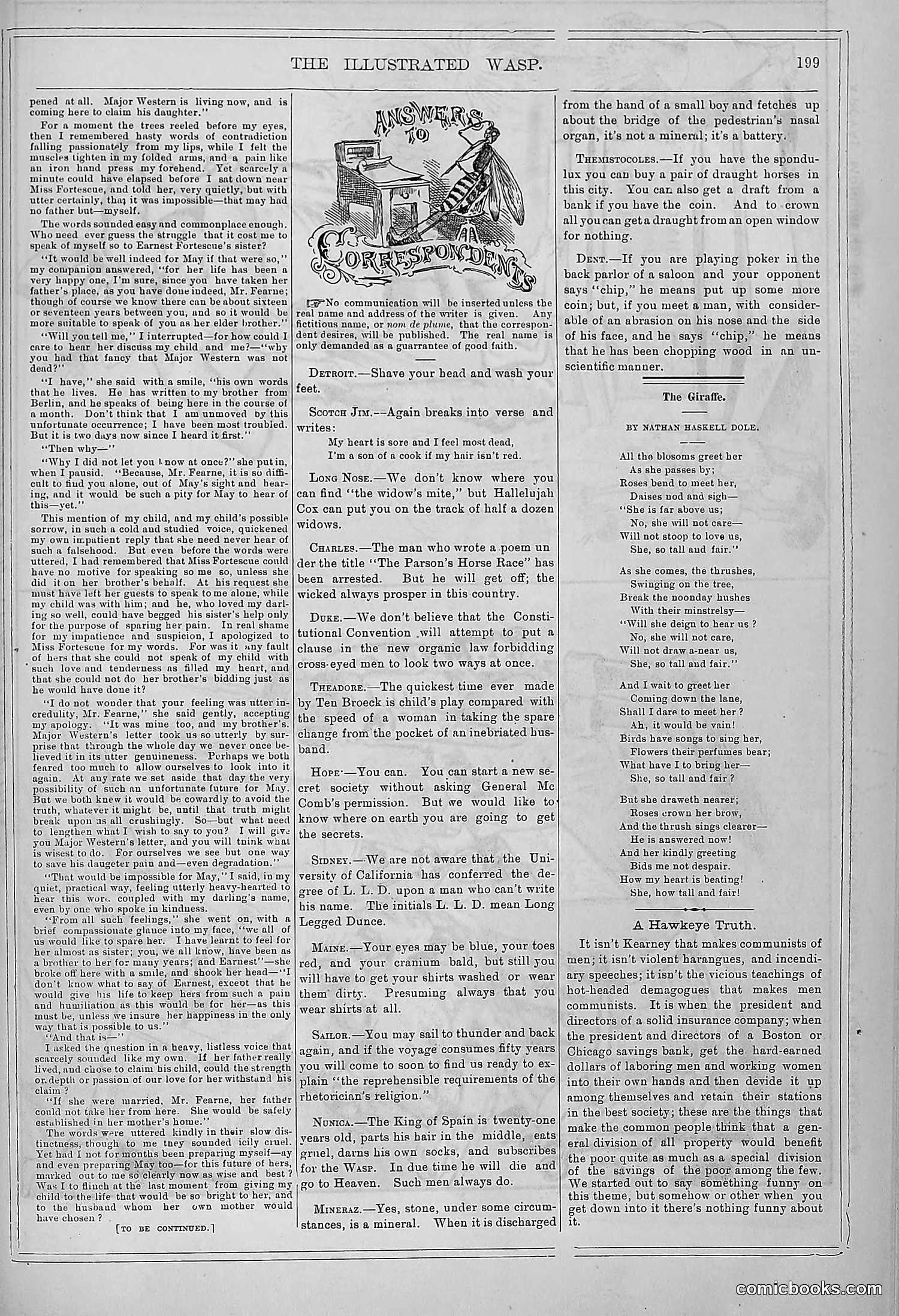 The Wasp — 1878 — page 206 of 364