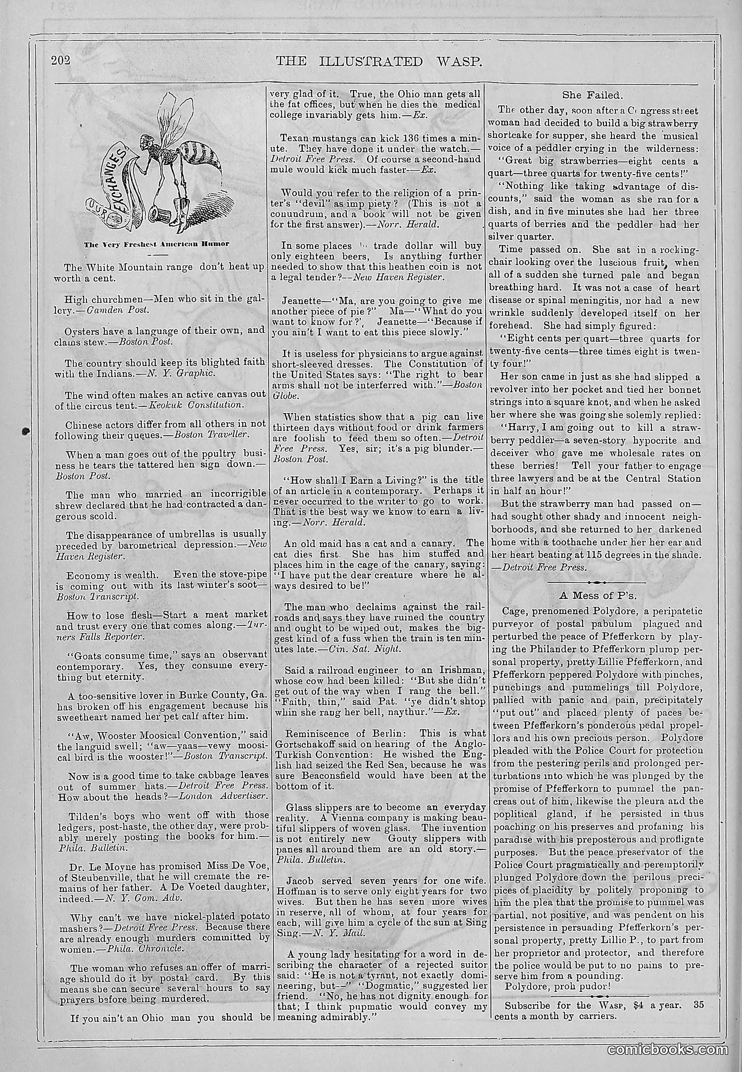 The Wasp — 1878 — page 209 of 364