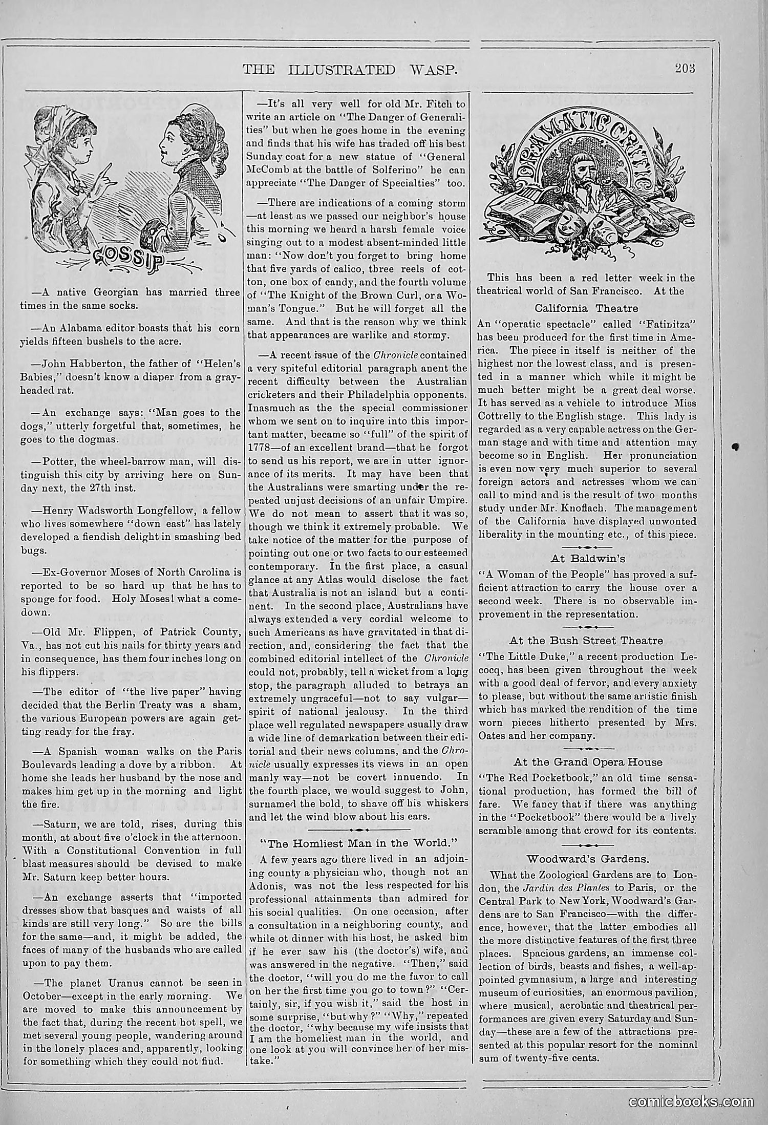 The Wasp — 1878 — page 210 of 364