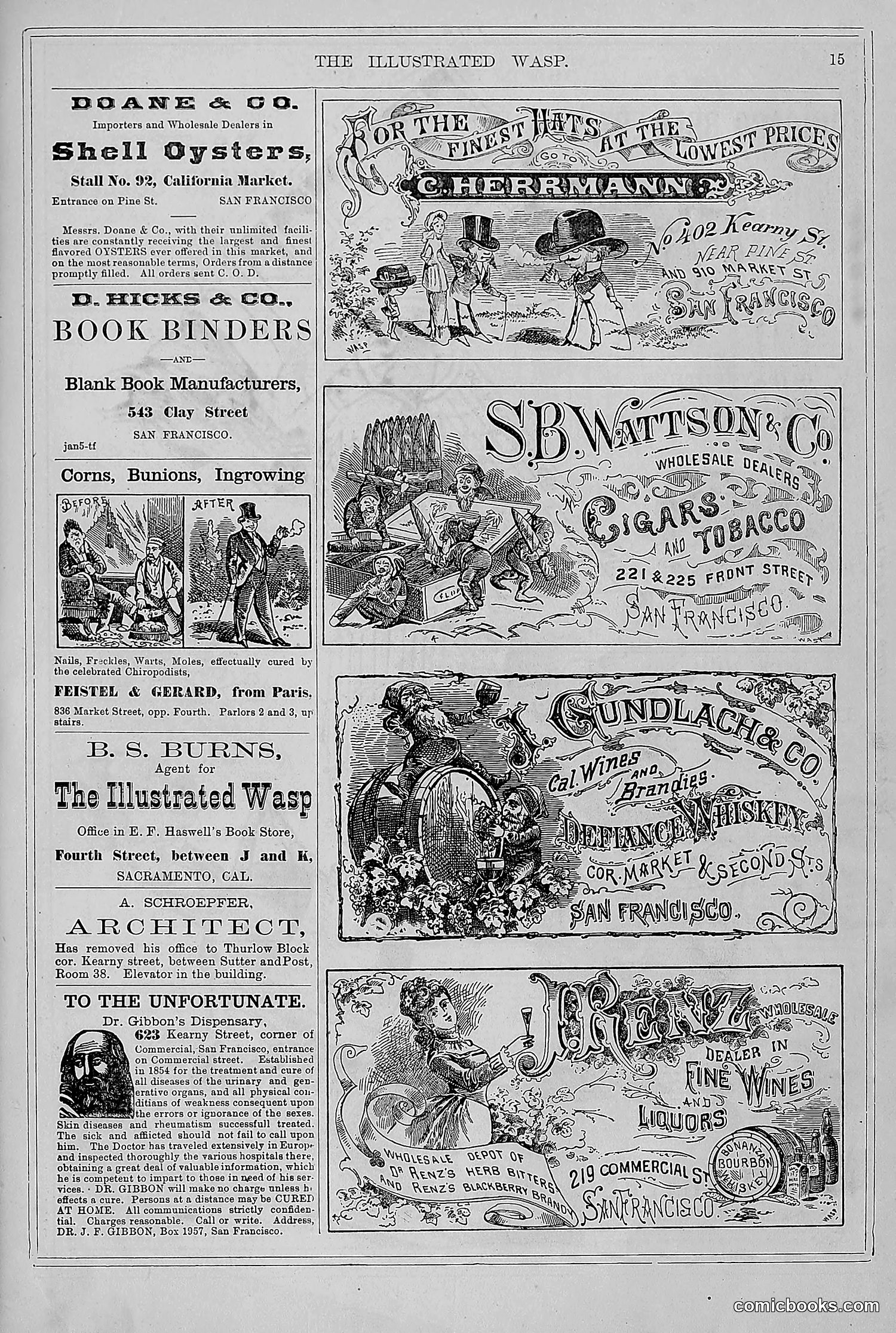 The Wasp — 1878 — page 22 of 364