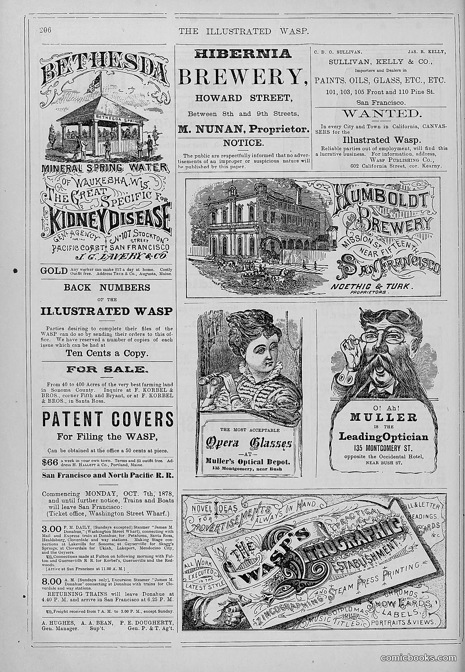 The Wasp — 1878 — page 213 of 364