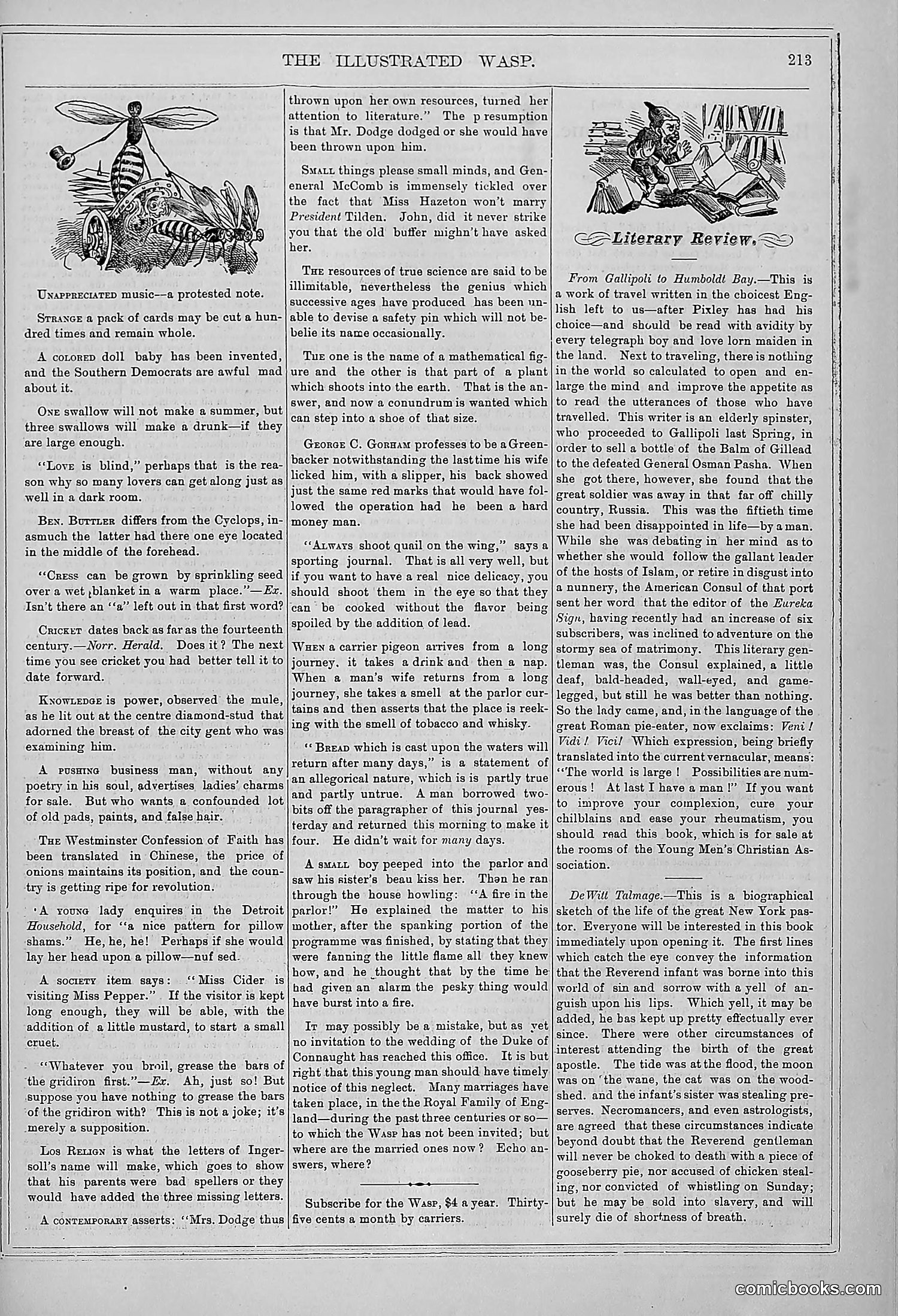The Wasp — 1878 — page 220 of 364