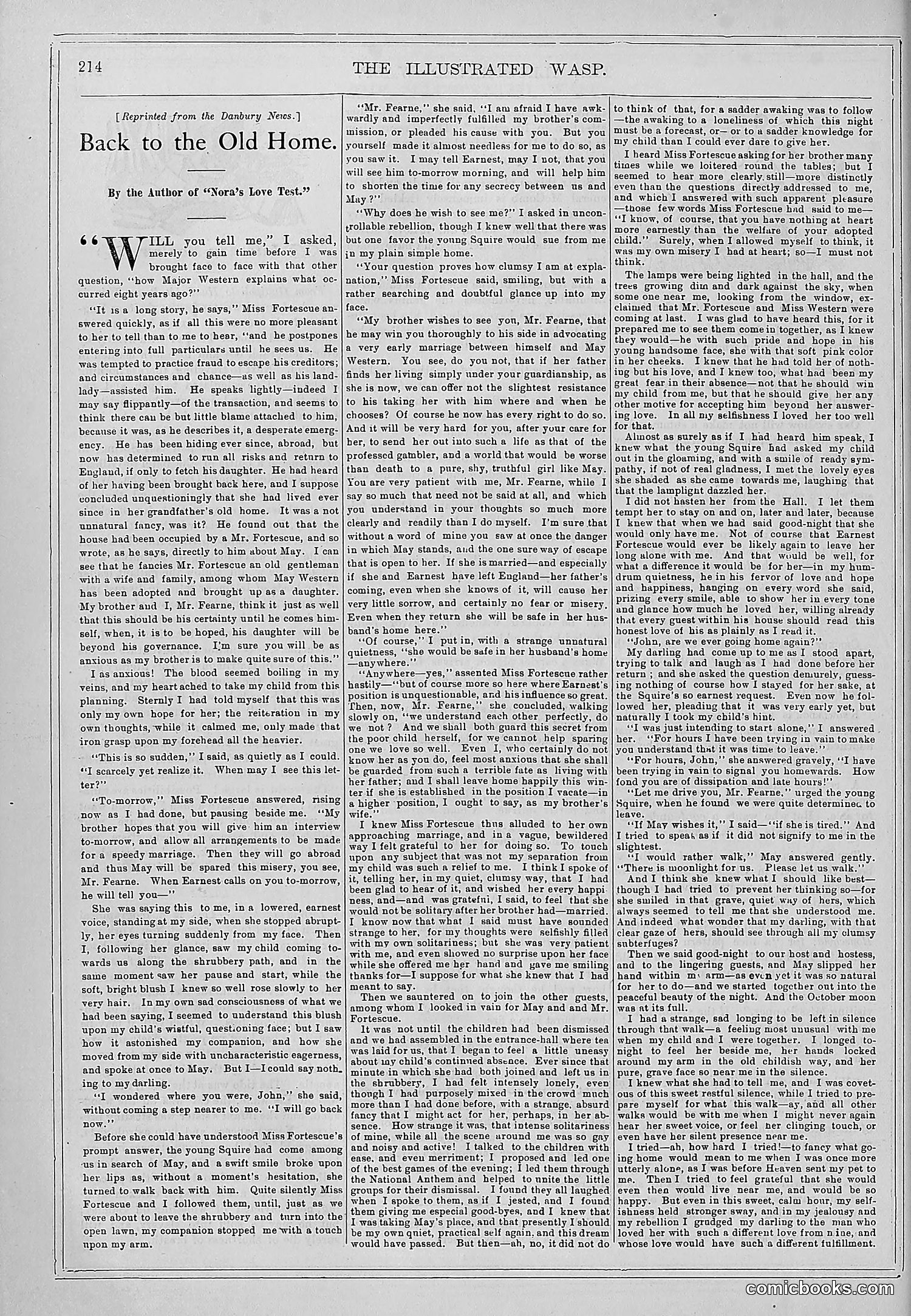 The Wasp — 1878 — page 221 of 364