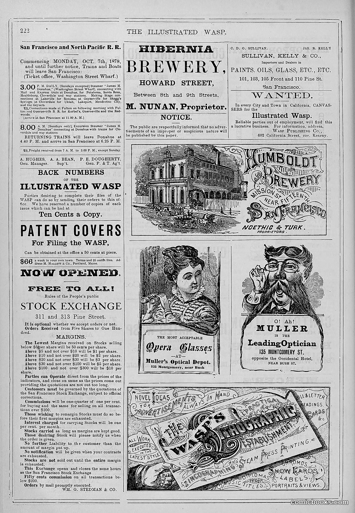 The Wasp — 1878 — page 229 of 364