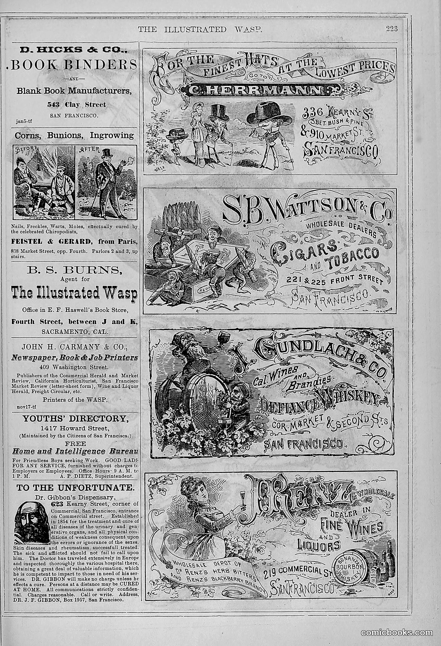 The Wasp — 1878 — page 230 of 364