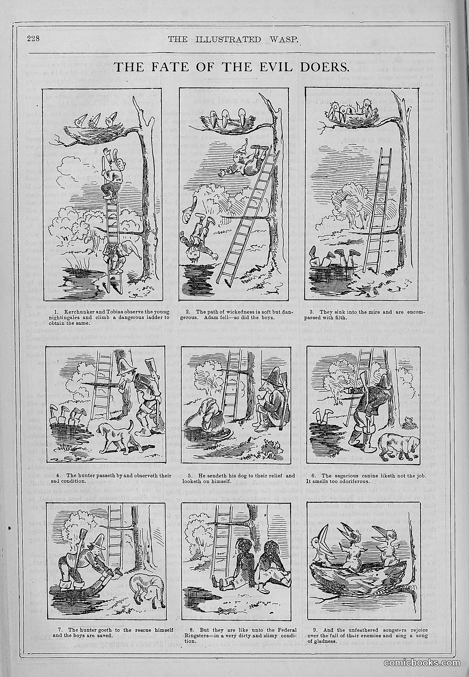 The Wasp — 1878 — page 235 of 364