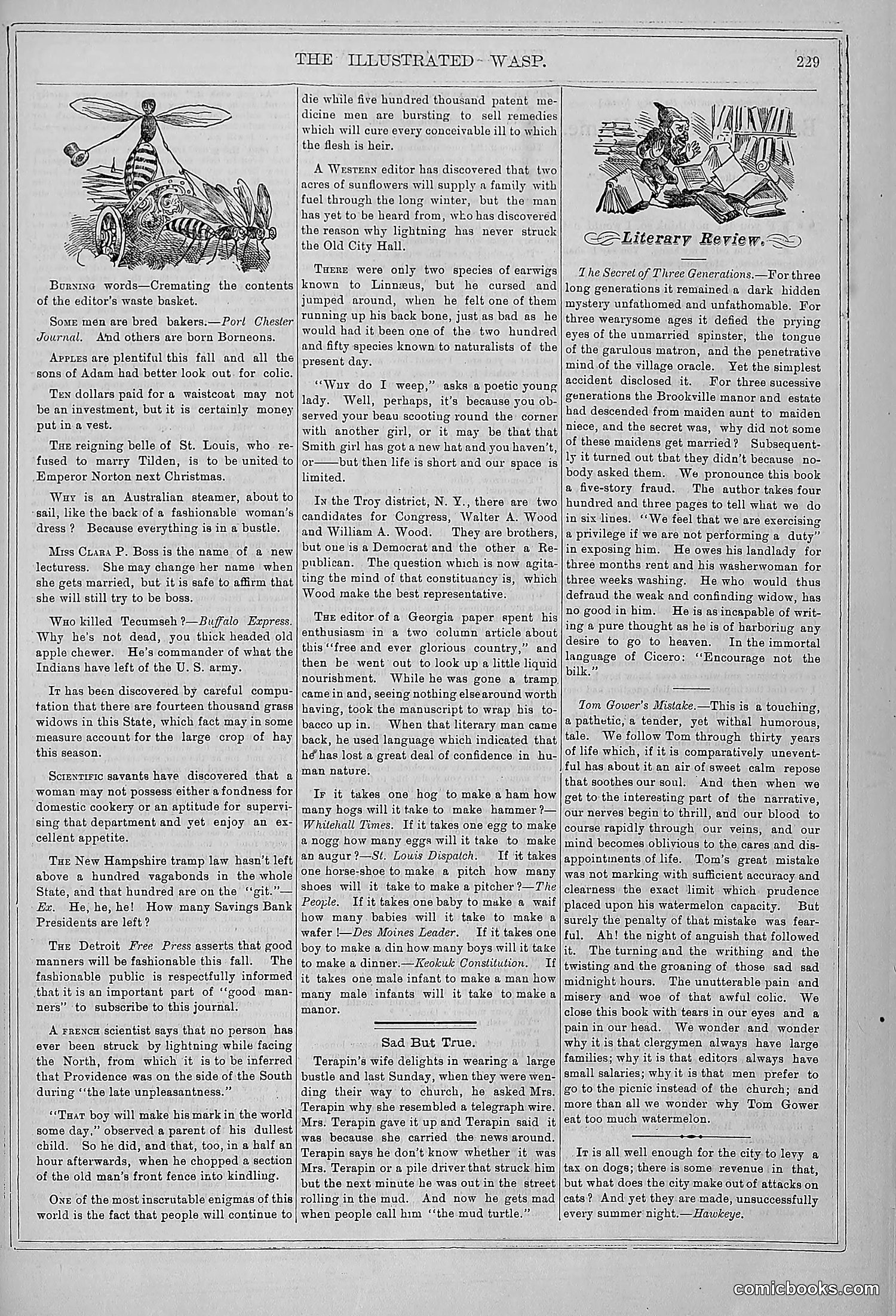 The Wasp — 1878 — page 236 of 364
