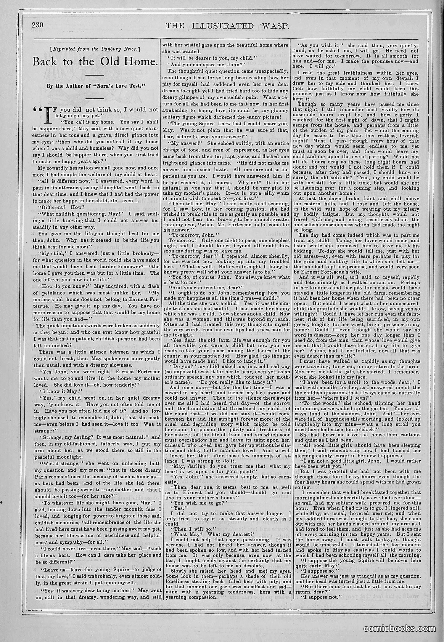 The Wasp — 1878 — page 237 of 364