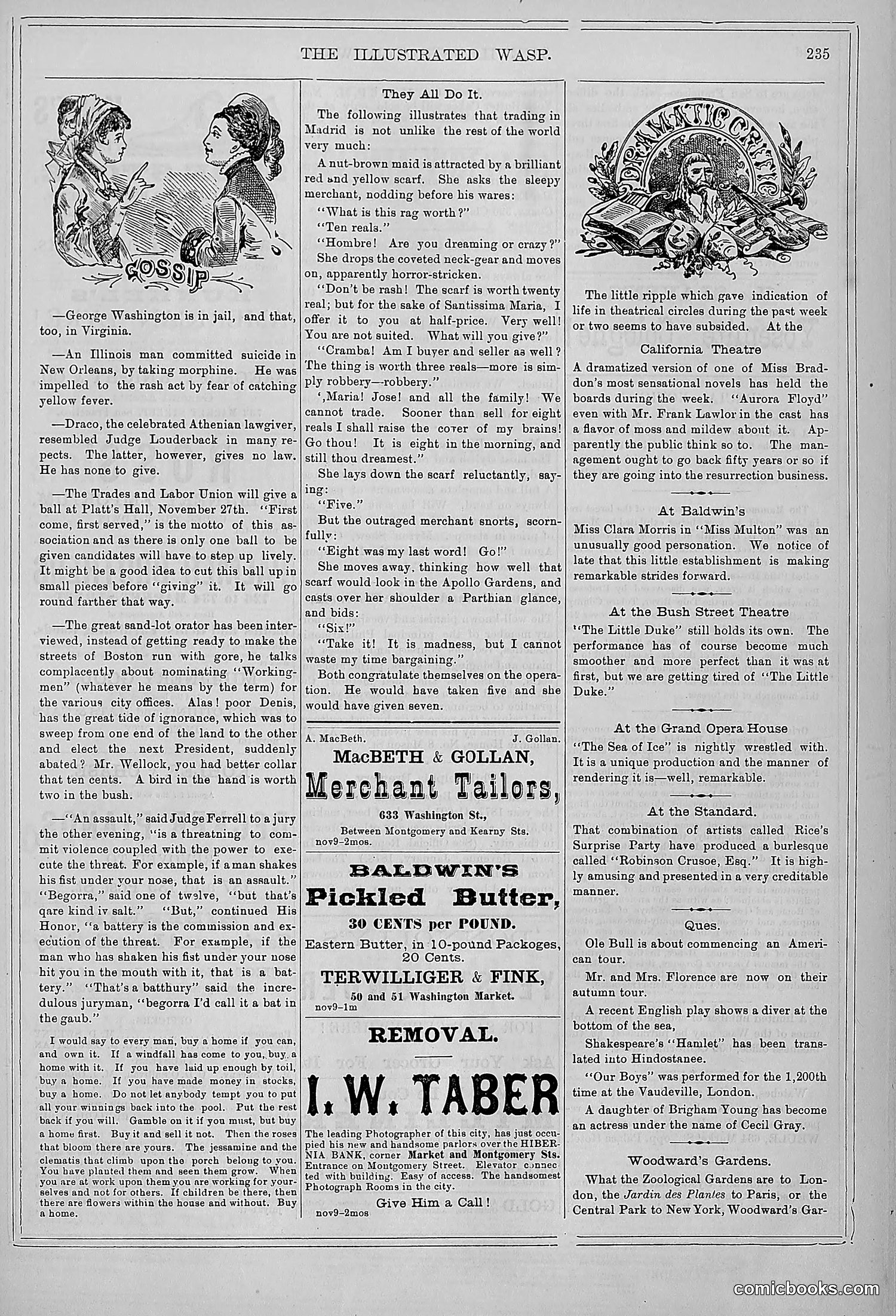 The Wasp — 1878 — page 242 of 364