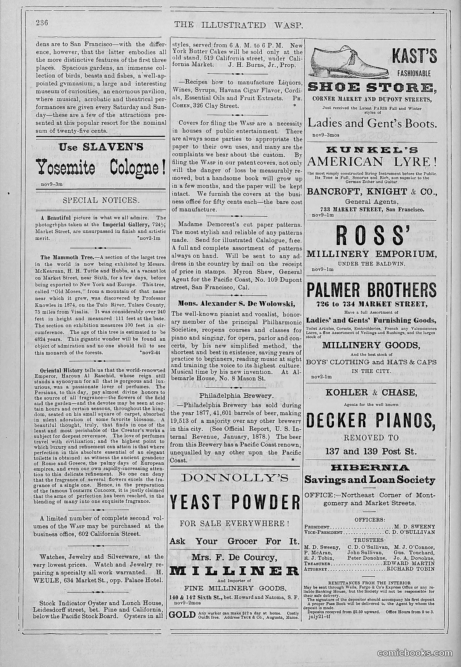 The Wasp — 1878 — page 243 of 364