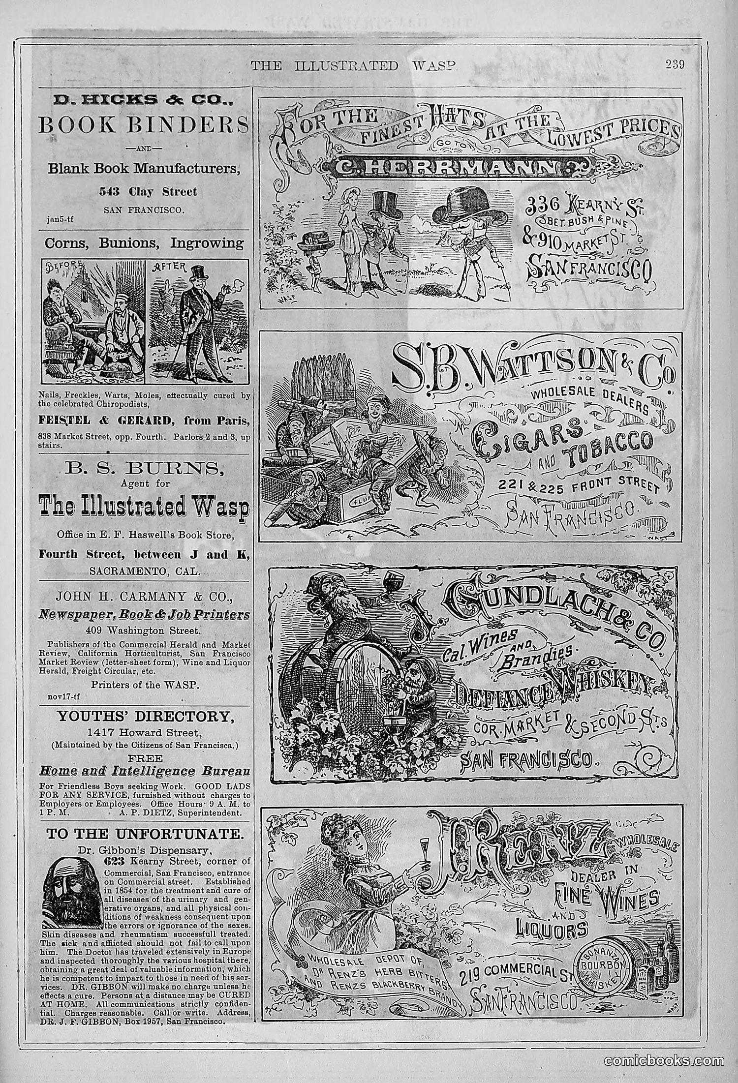 The Wasp — 1878 — page 246 of 364