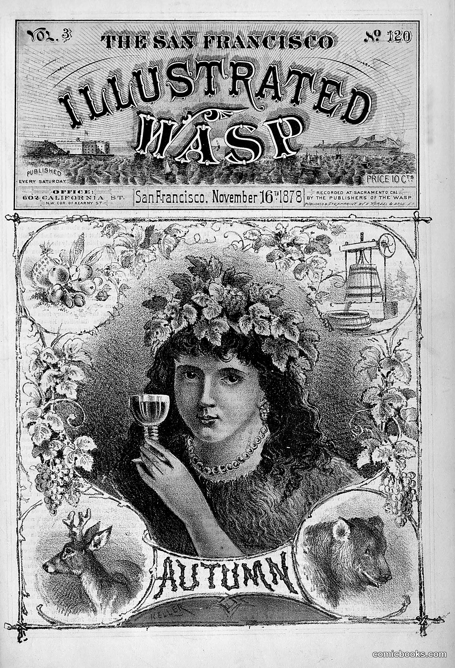 The Wasp — 1878 — page 248 of 364