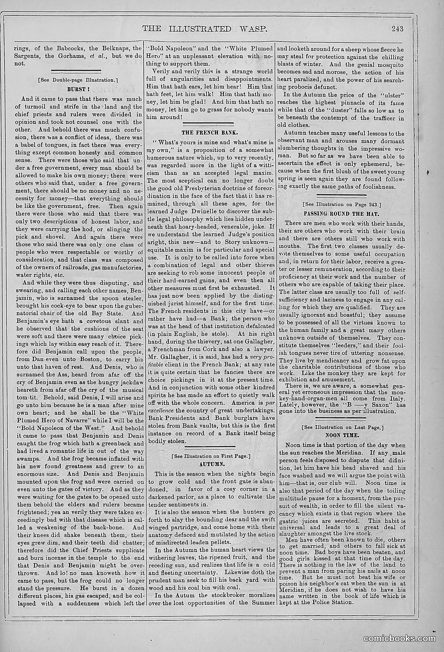 The Wasp — 1878 — page 250 of 364