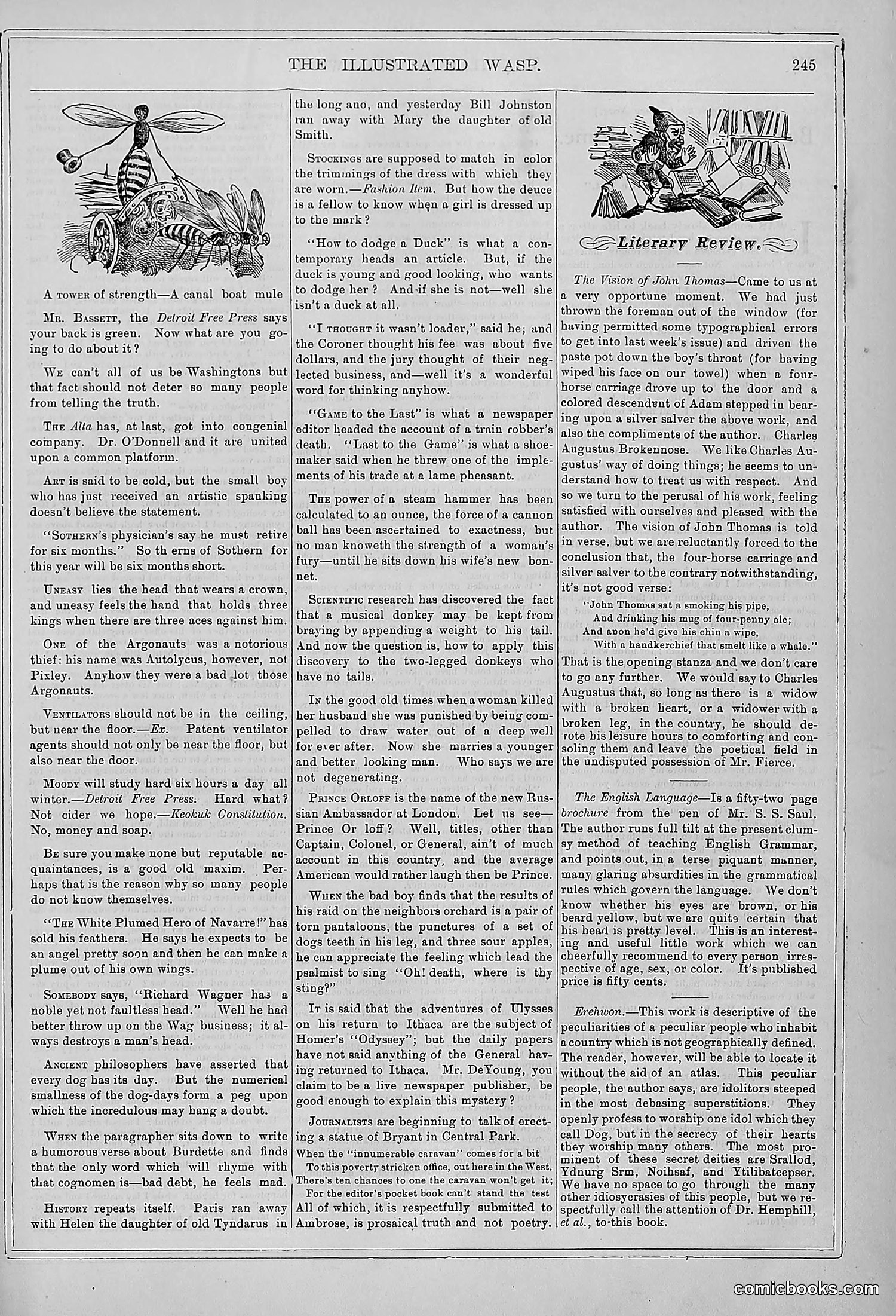 The Wasp — 1878 — page 252 of 364