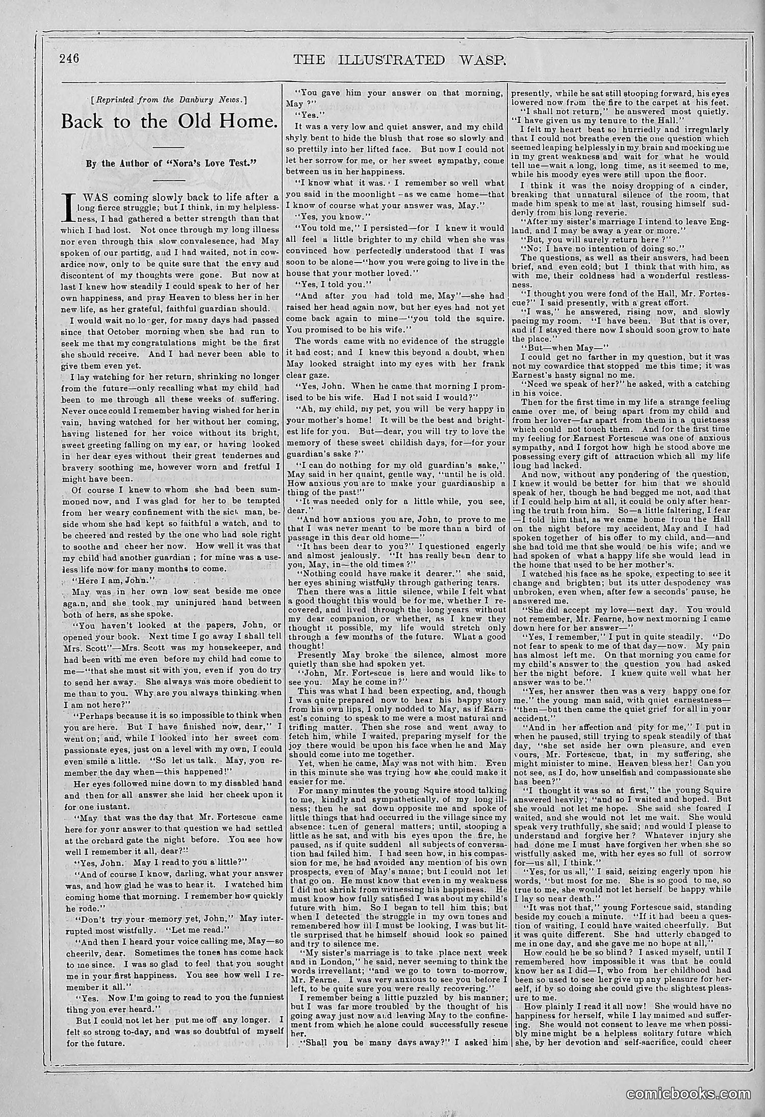 The Wasp — 1878 — page 253 of 364