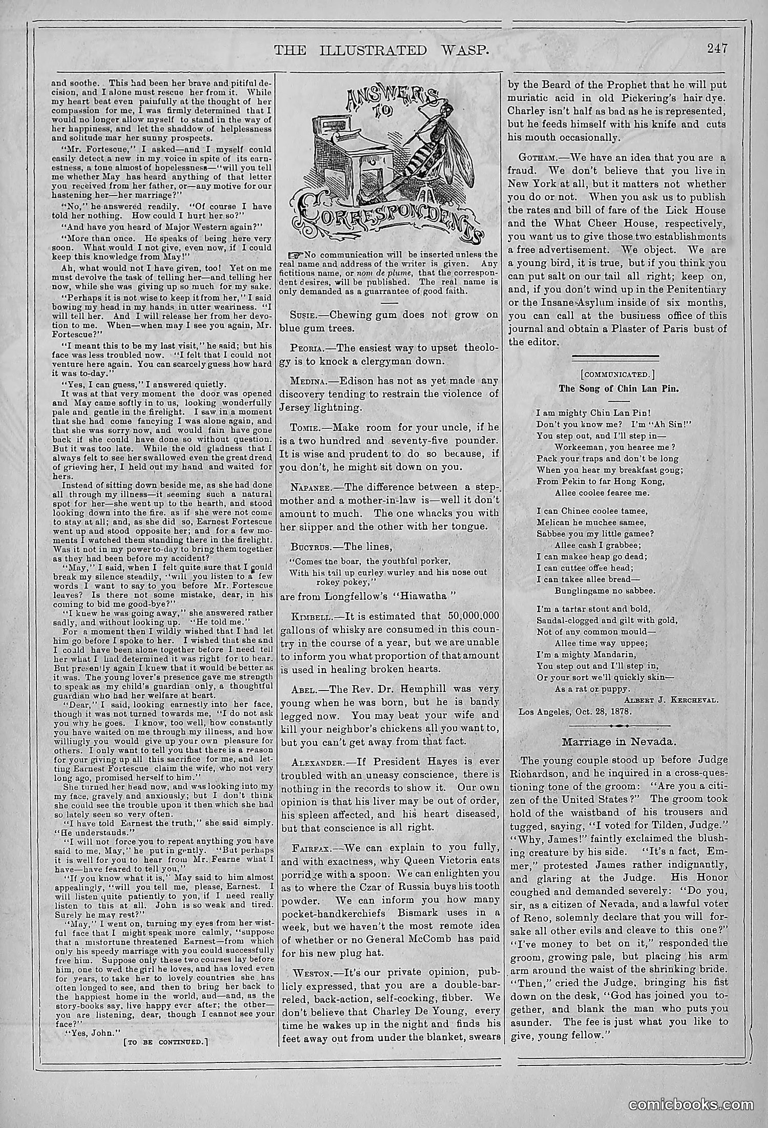 The Wasp — 1878 — page 254 of 364