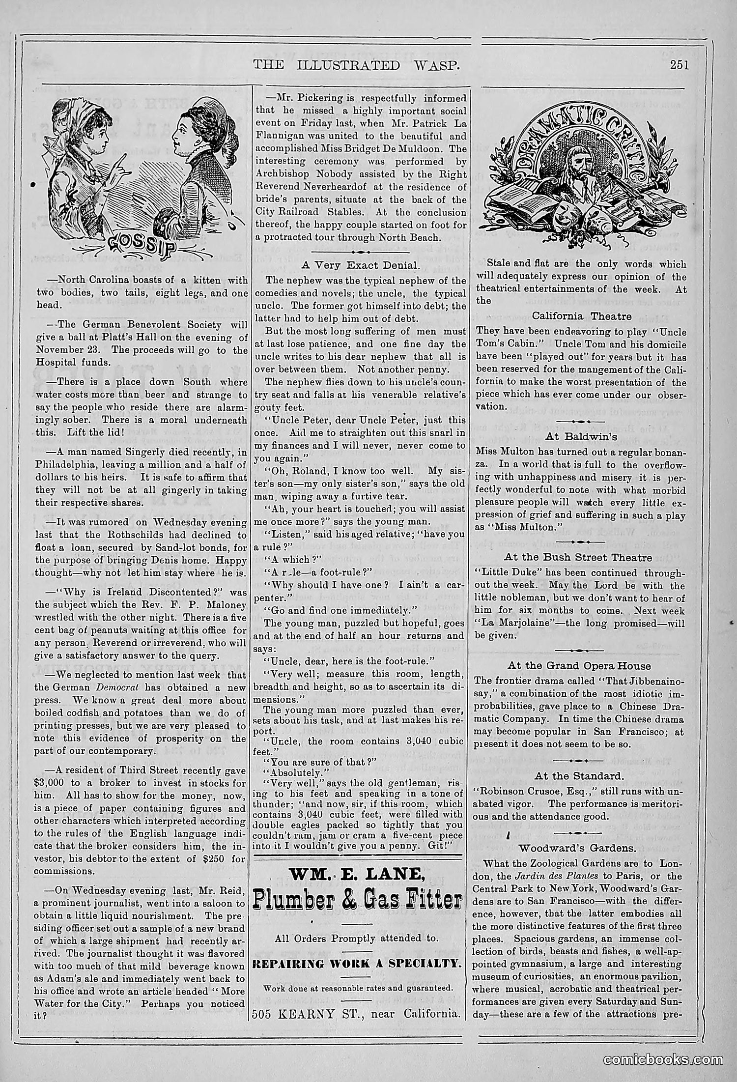 The Wasp — 1878 — page 258 of 364
