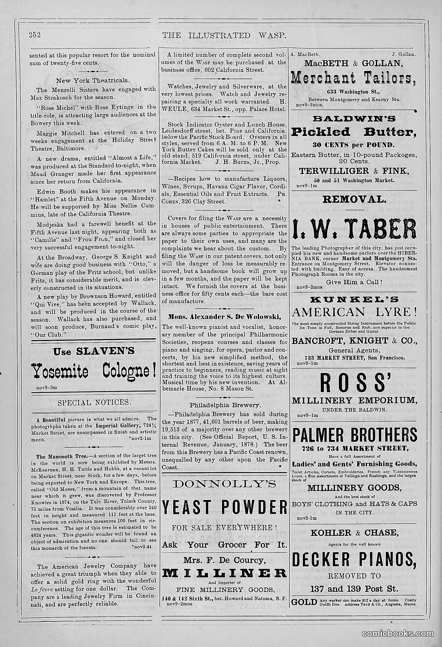 The Wasp — 1878 — page 259 of 364