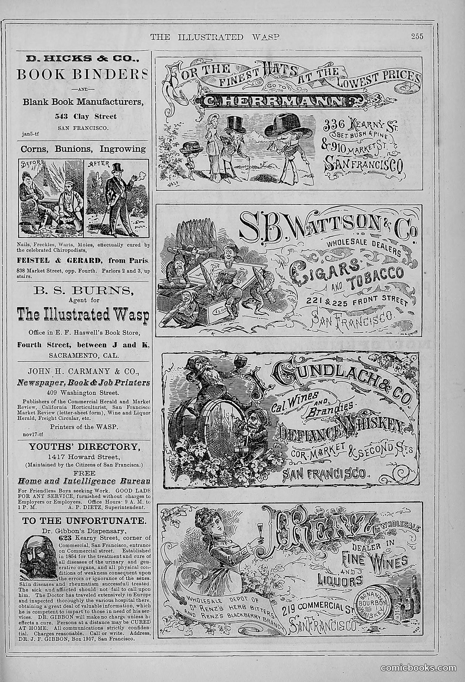The Wasp — 1878 — page 262 of 364