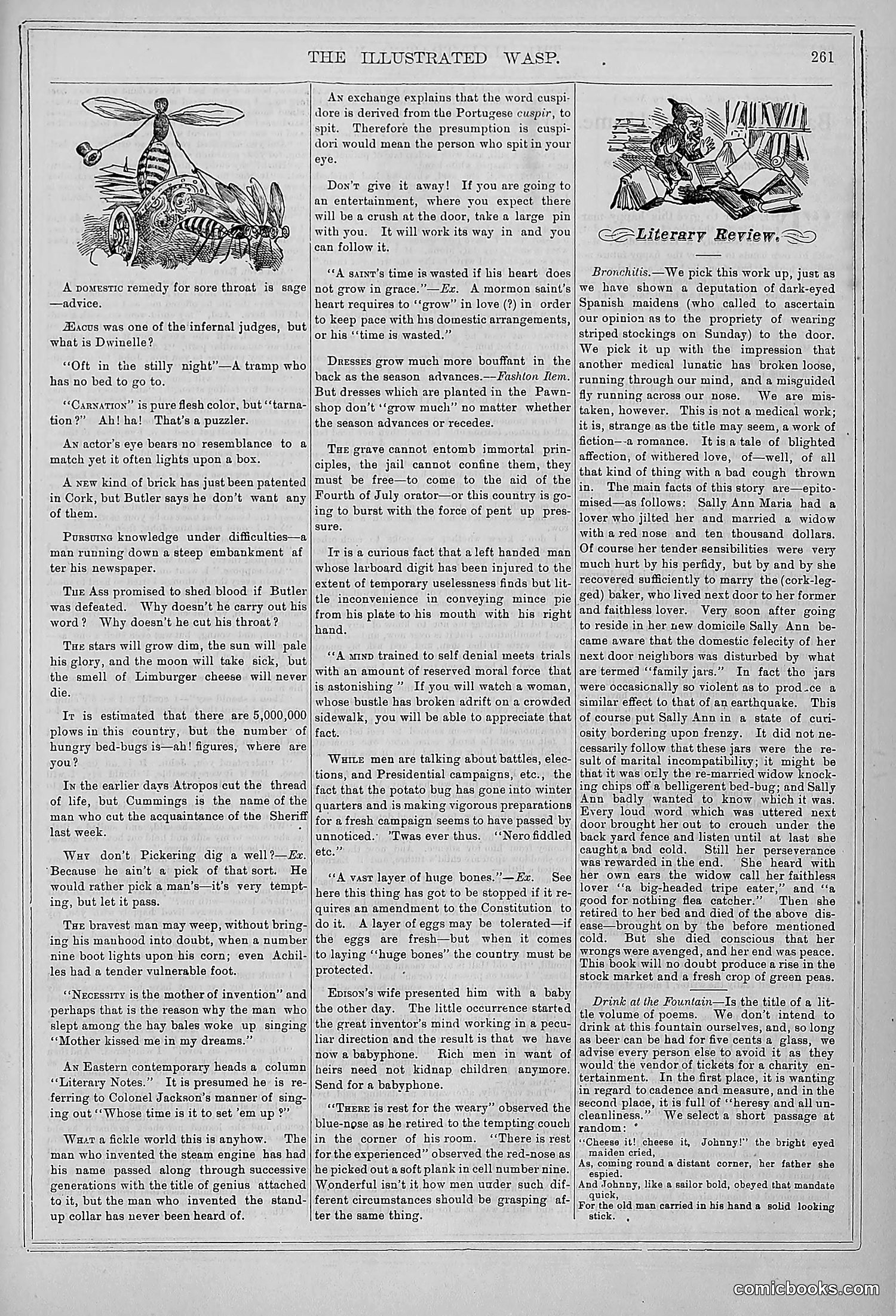 The Wasp — 1878 — page 268 of 364