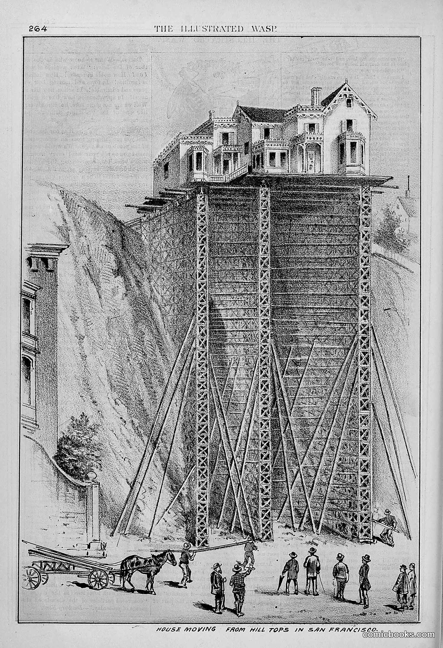 The Wasp — 1878 — page 271 of 364