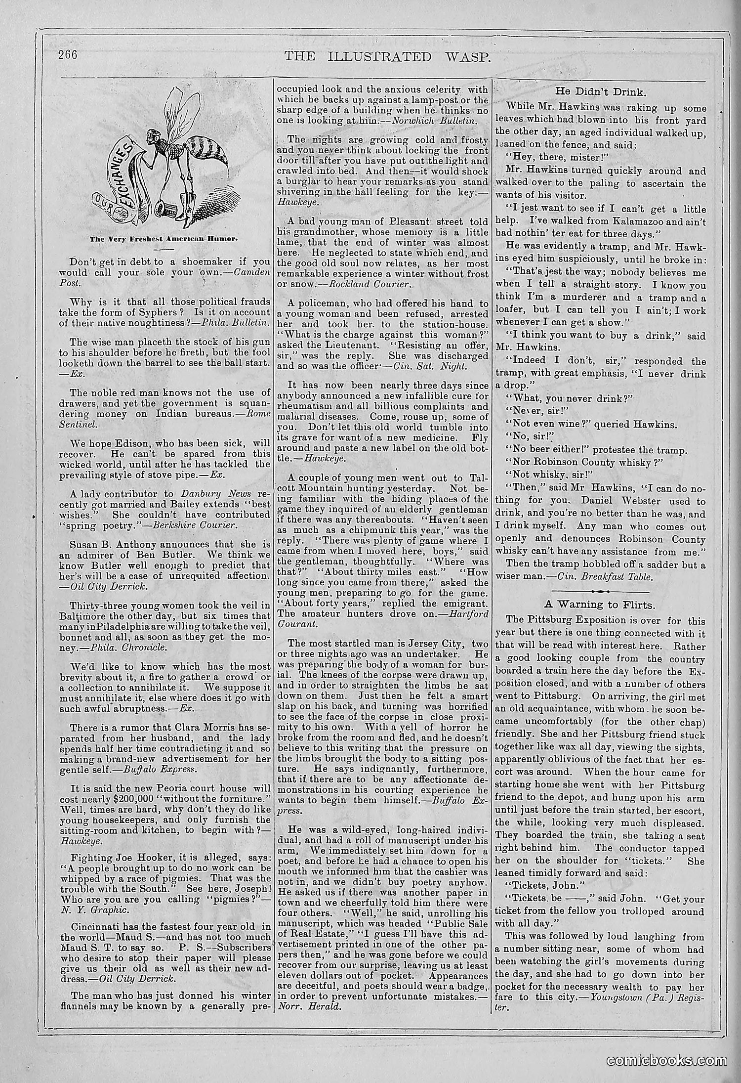 The Wasp — 1878 — page 273 of 364