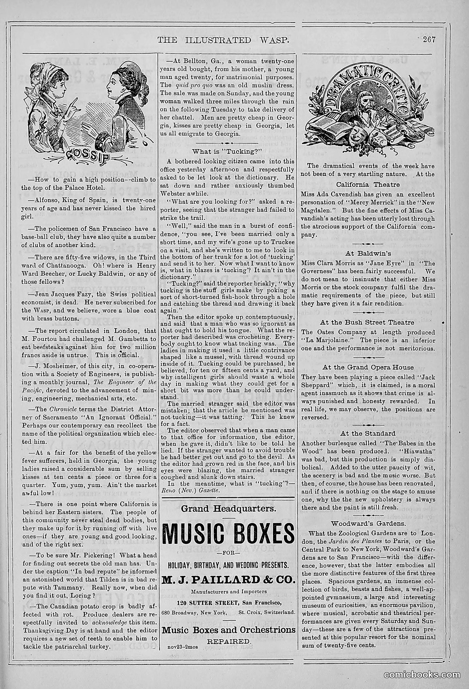The Wasp — 1878 — page 274 of 364
