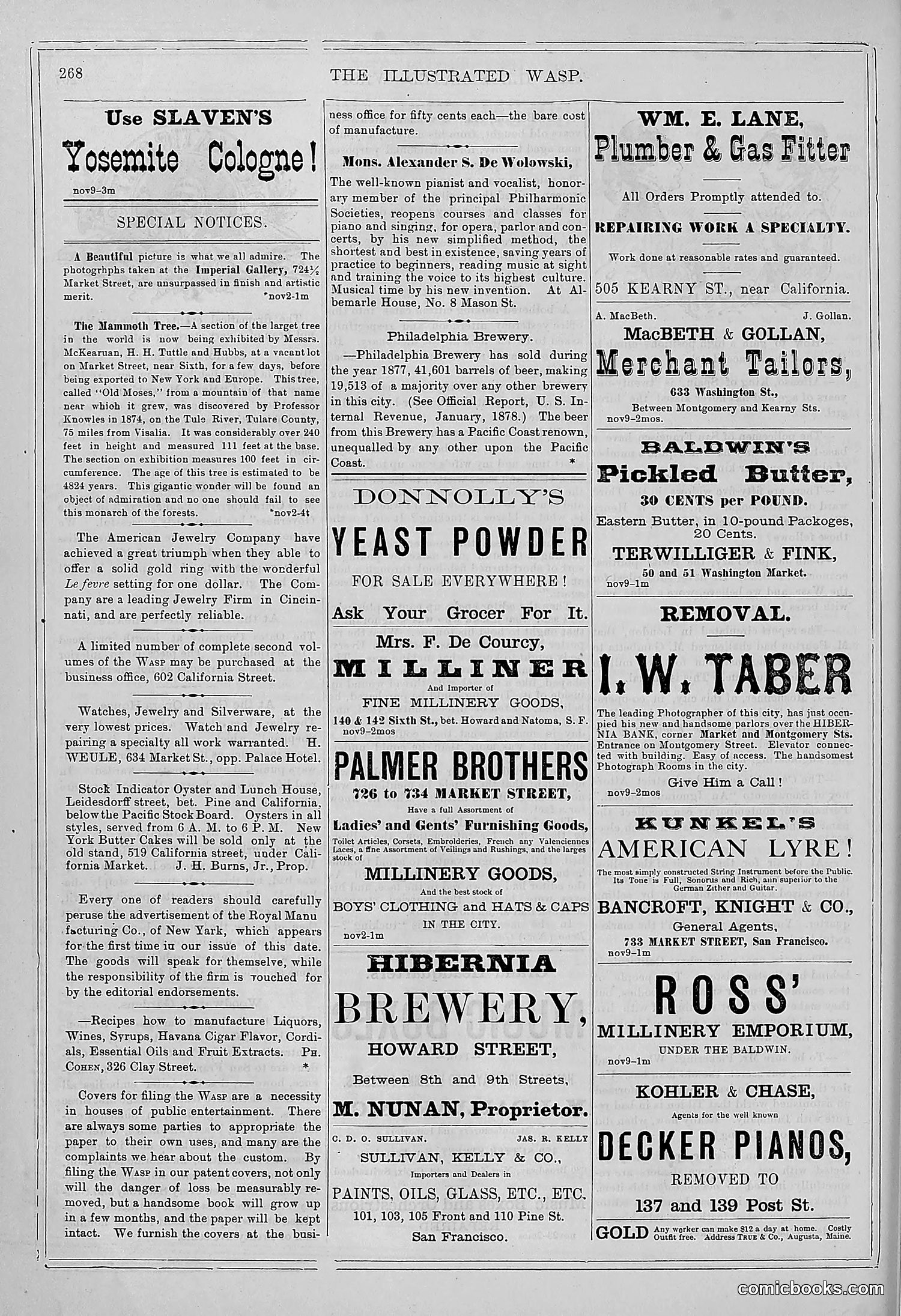 The Wasp — 1878 — page 275 of 364