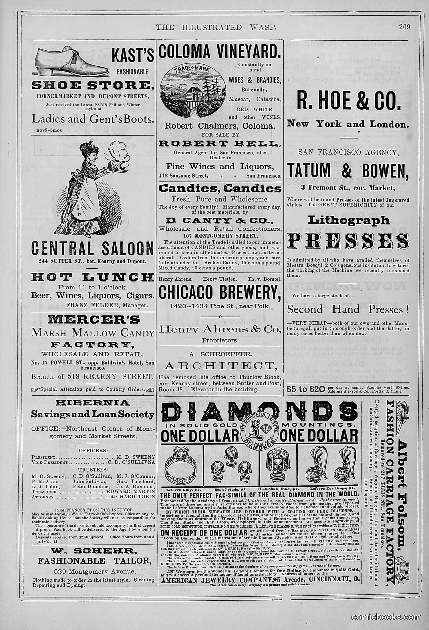 The Wasp — 1878 — page 276 of 364