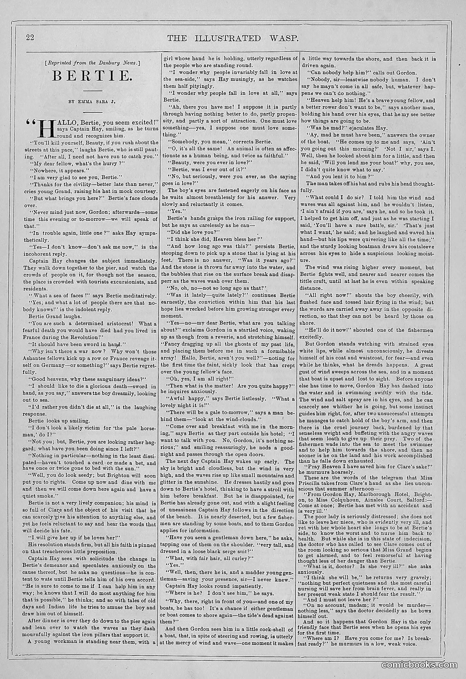 The Wasp — 1878 — page 29 of 364