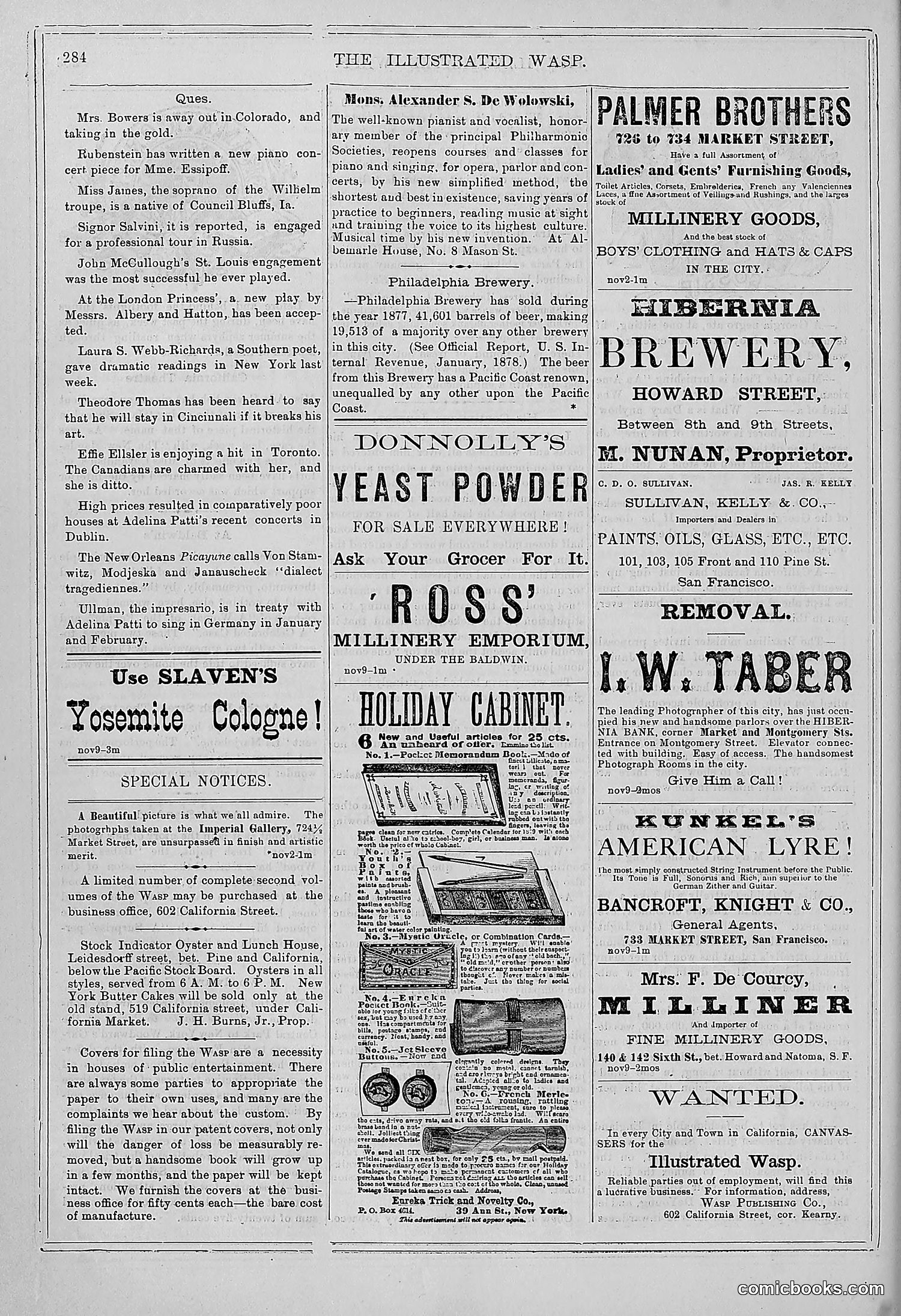 The Wasp — 1878 — page 289 of 364