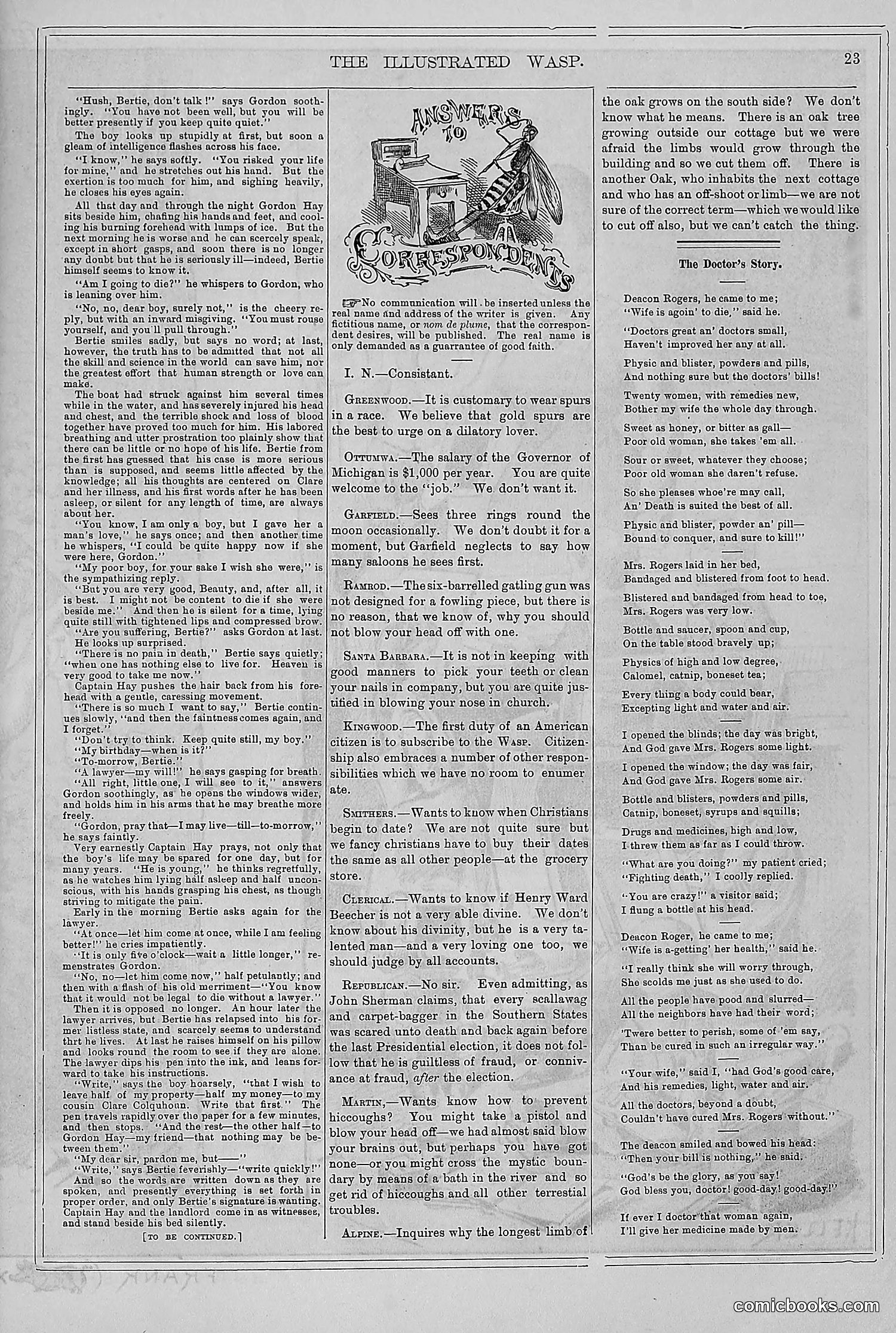 The Wasp — 1878 — page 30 of 364