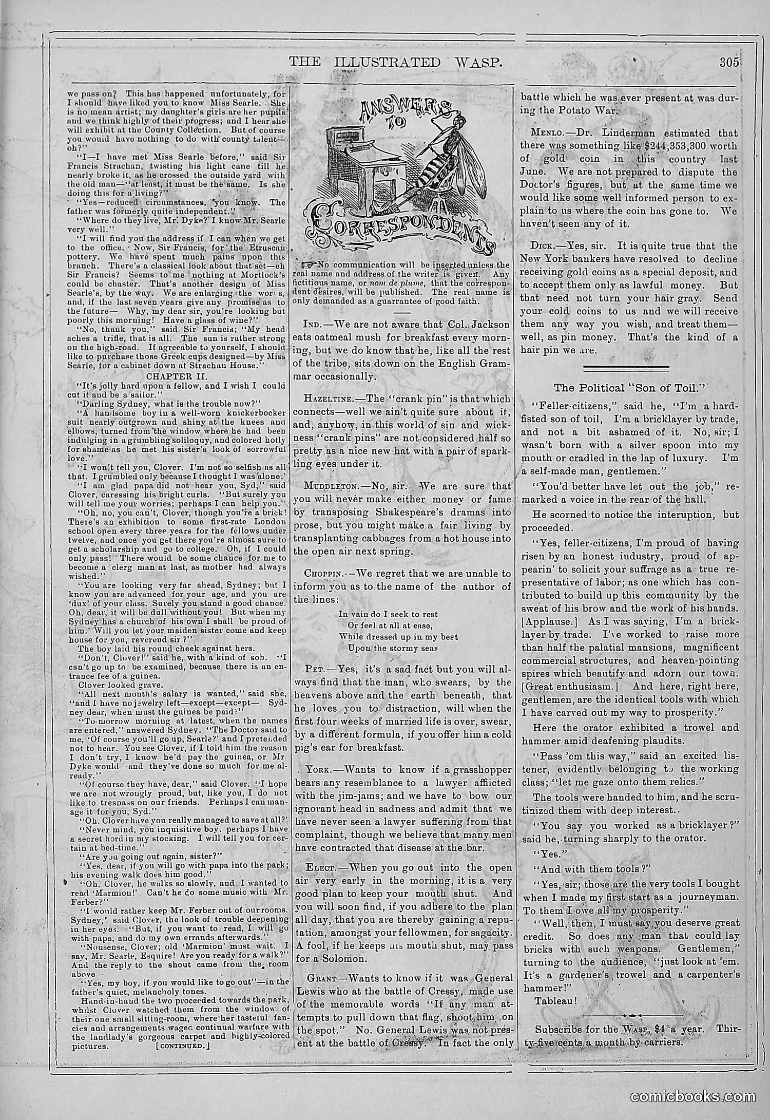 The Wasp — 1878 — page 300 of 364