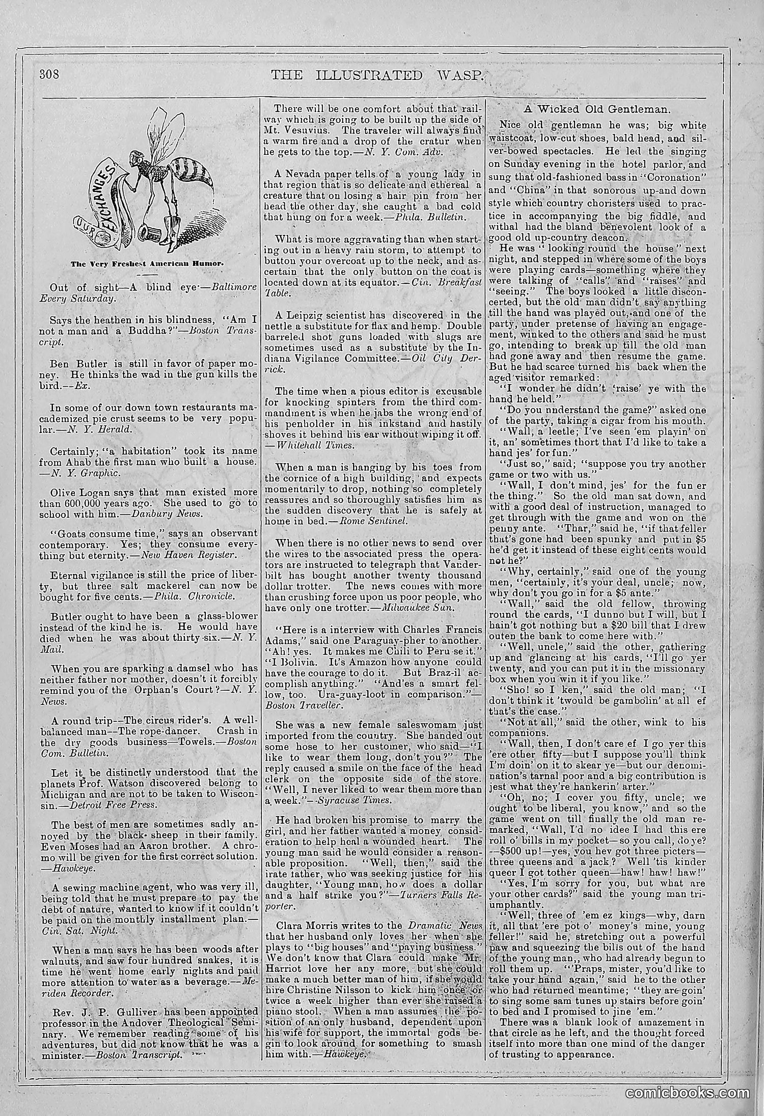 The Wasp — 1878 — page 303 of 364