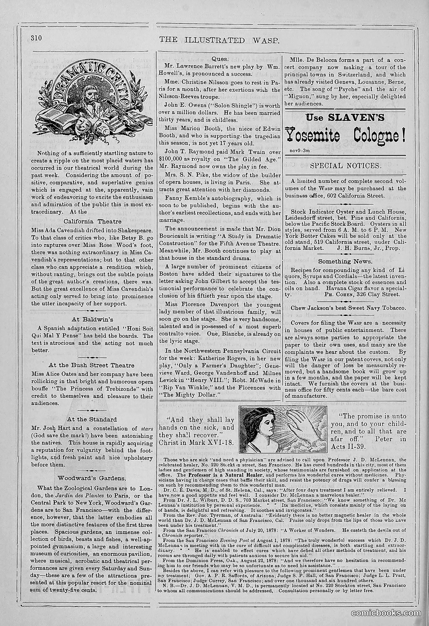 The Wasp — 1878 — page 305 of 364