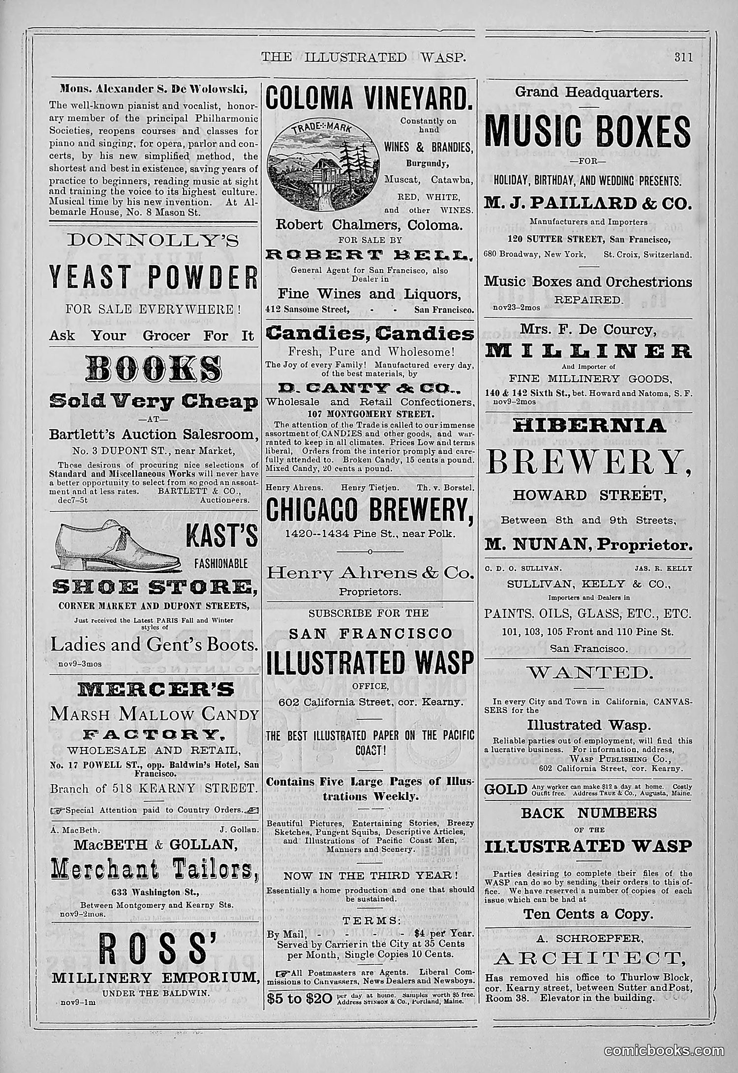 The Wasp — 1878 — page 306 of 364