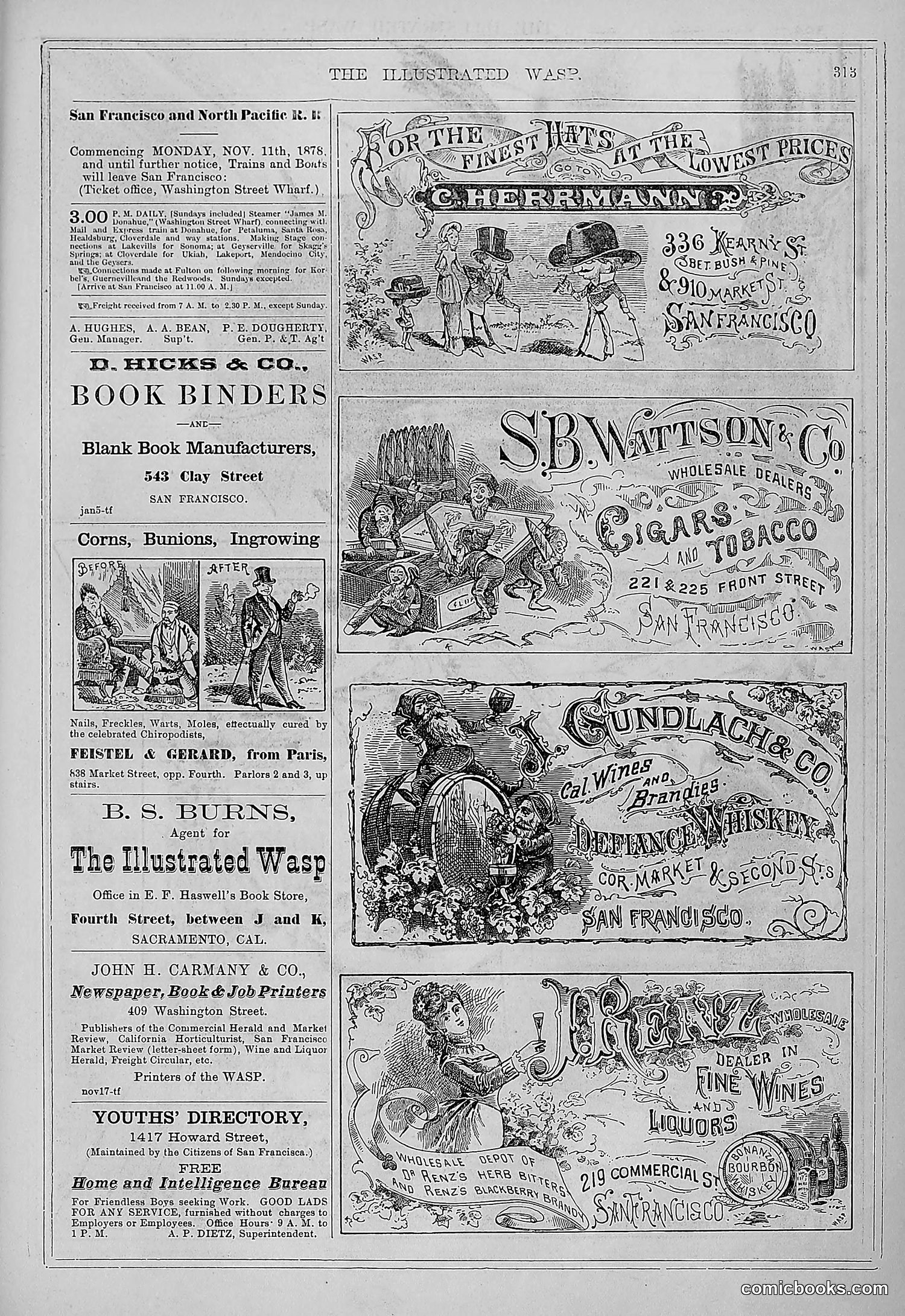 The Wasp — 1878 — page 308 of 364