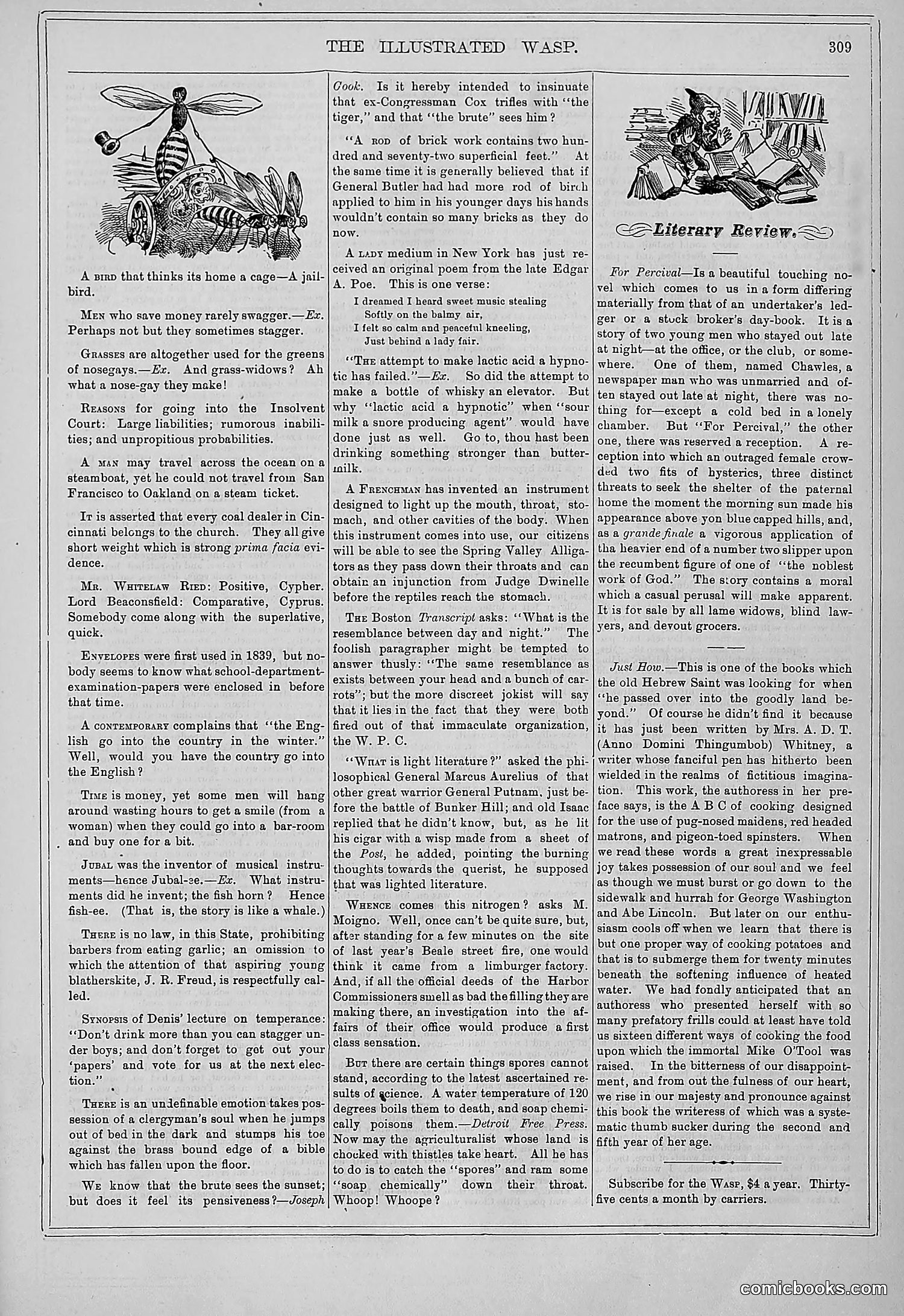 The Wasp — 1878 — page 314 of 364