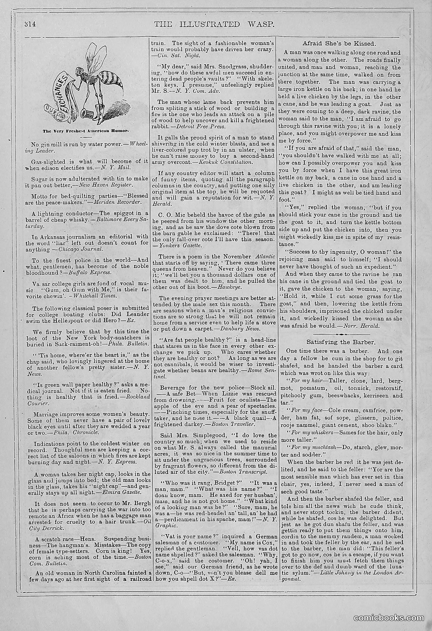 The Wasp — 1878 — page 319 of 364