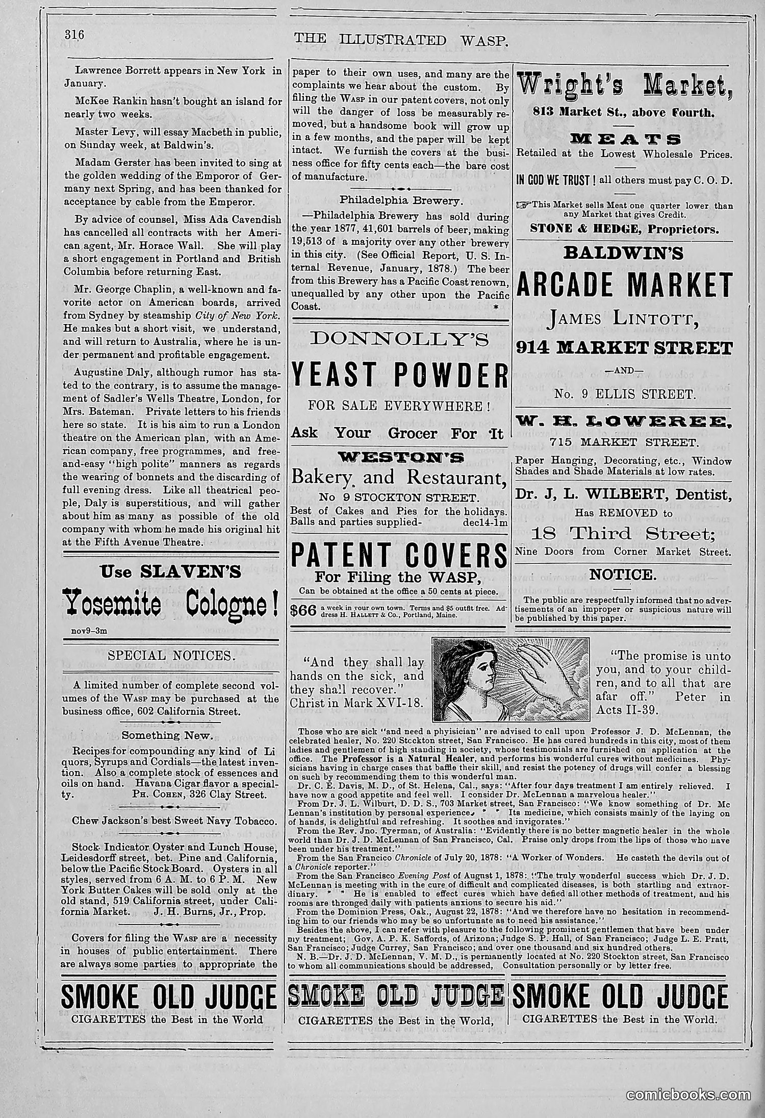 The Wasp — 1878 — page 321 of 364
