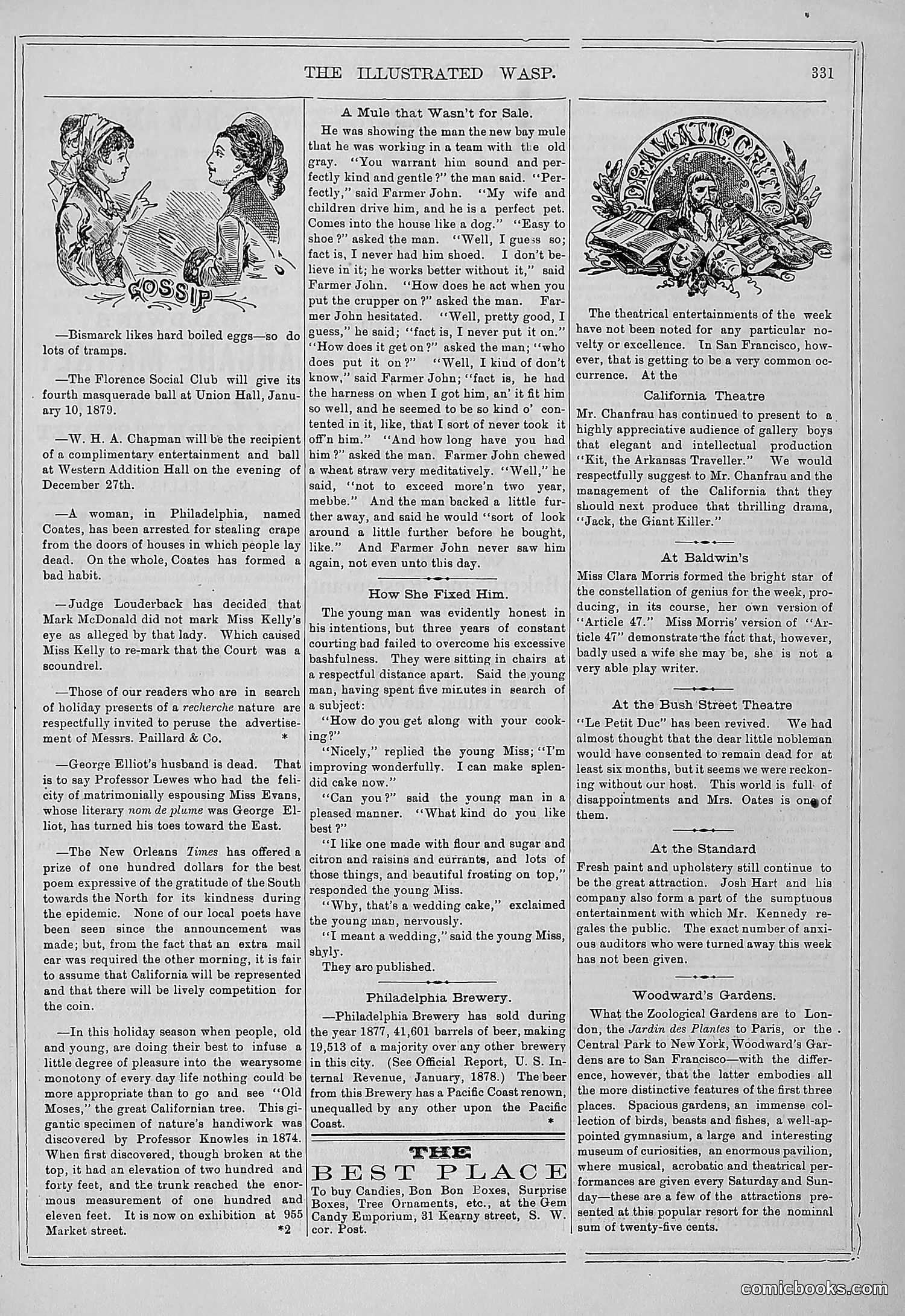 The Wasp — 1878 — page 336 of 364
