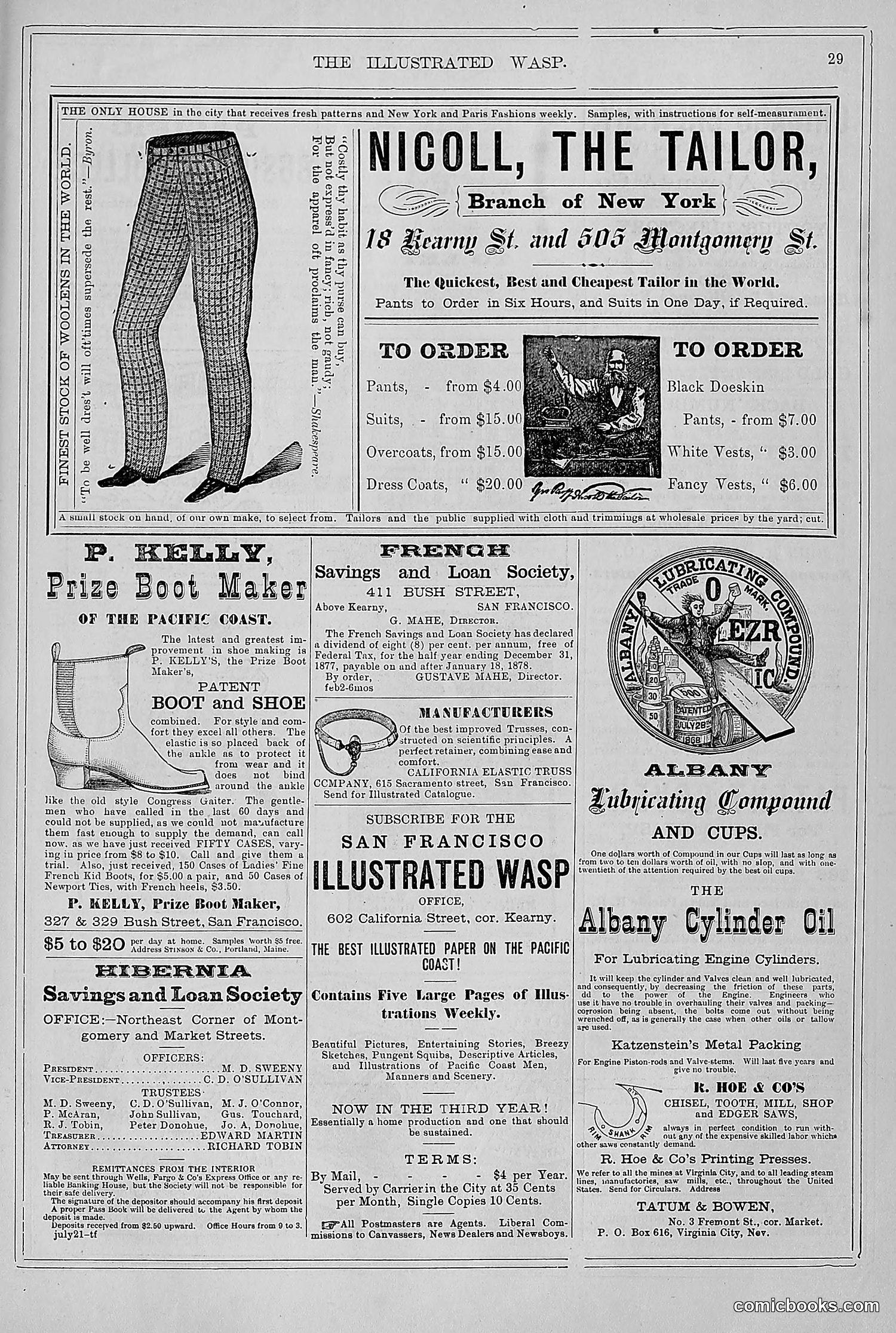 The Wasp — 1878 — page 36 of 364