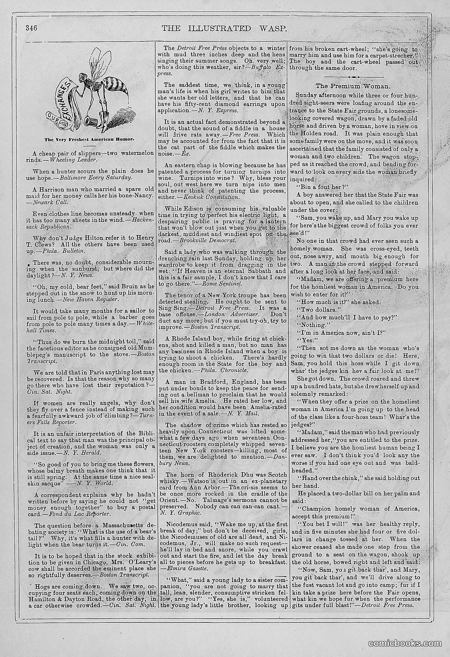The Wasp — 1878 — page 351 of 364