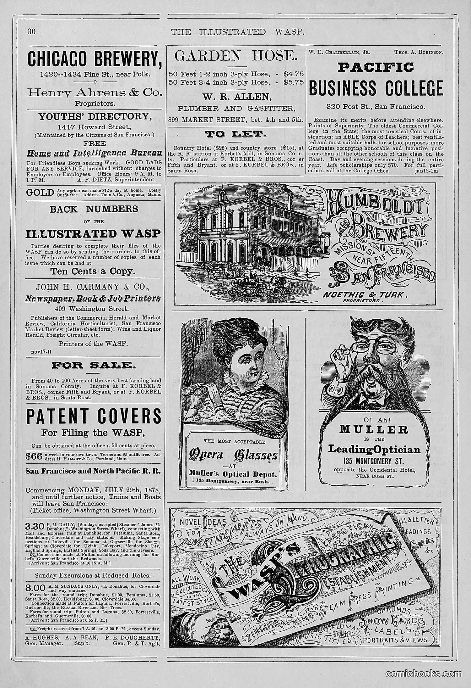 The Wasp — 1878 — page 37 of 364