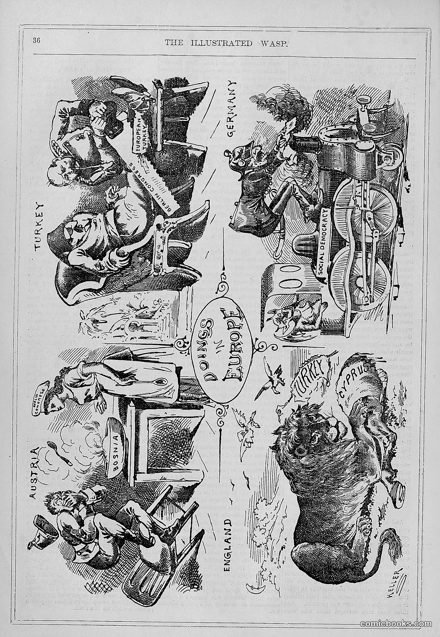 The Wasp — 1878 — page 43 of 364