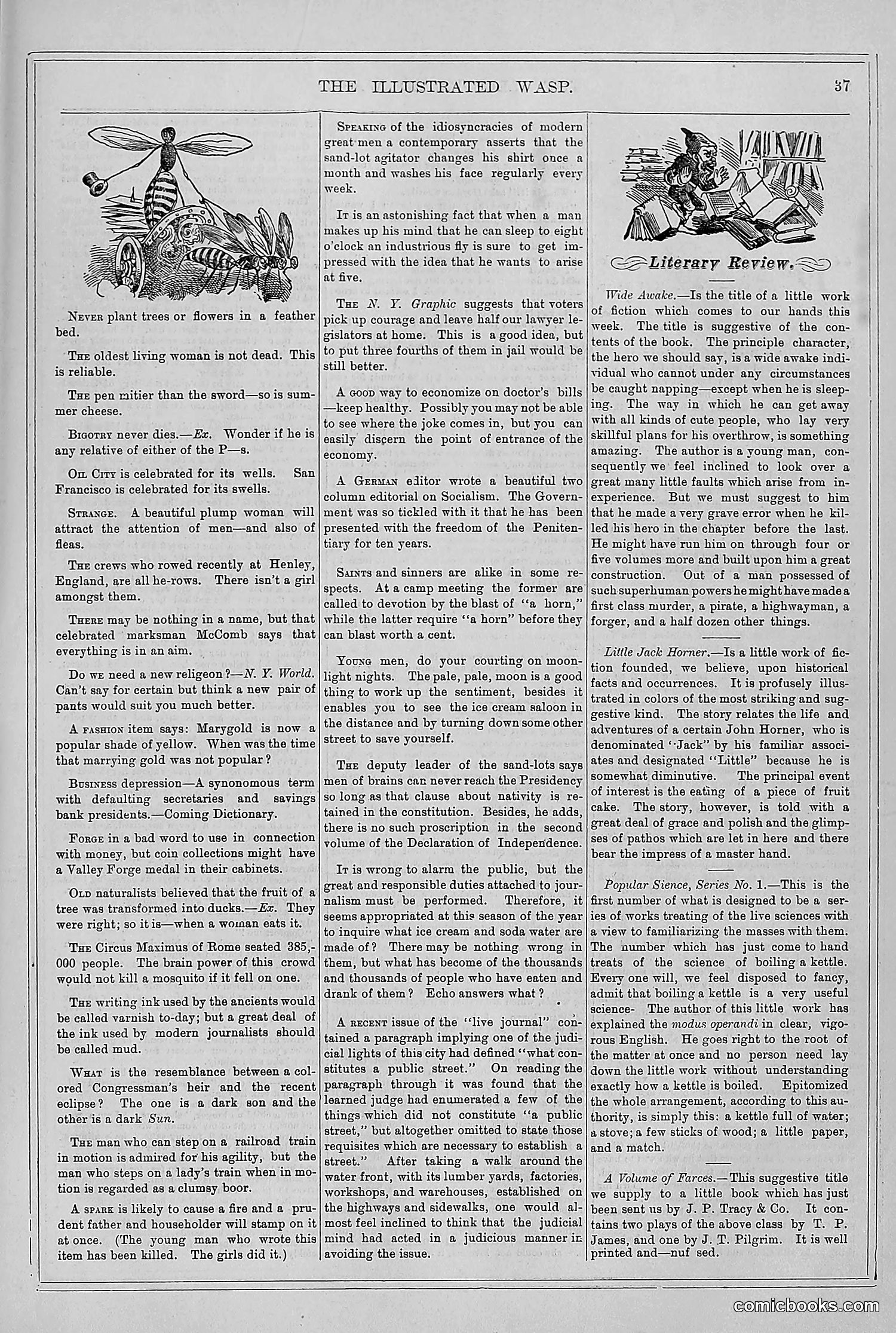 The Wasp — 1878 — page 44 of 364