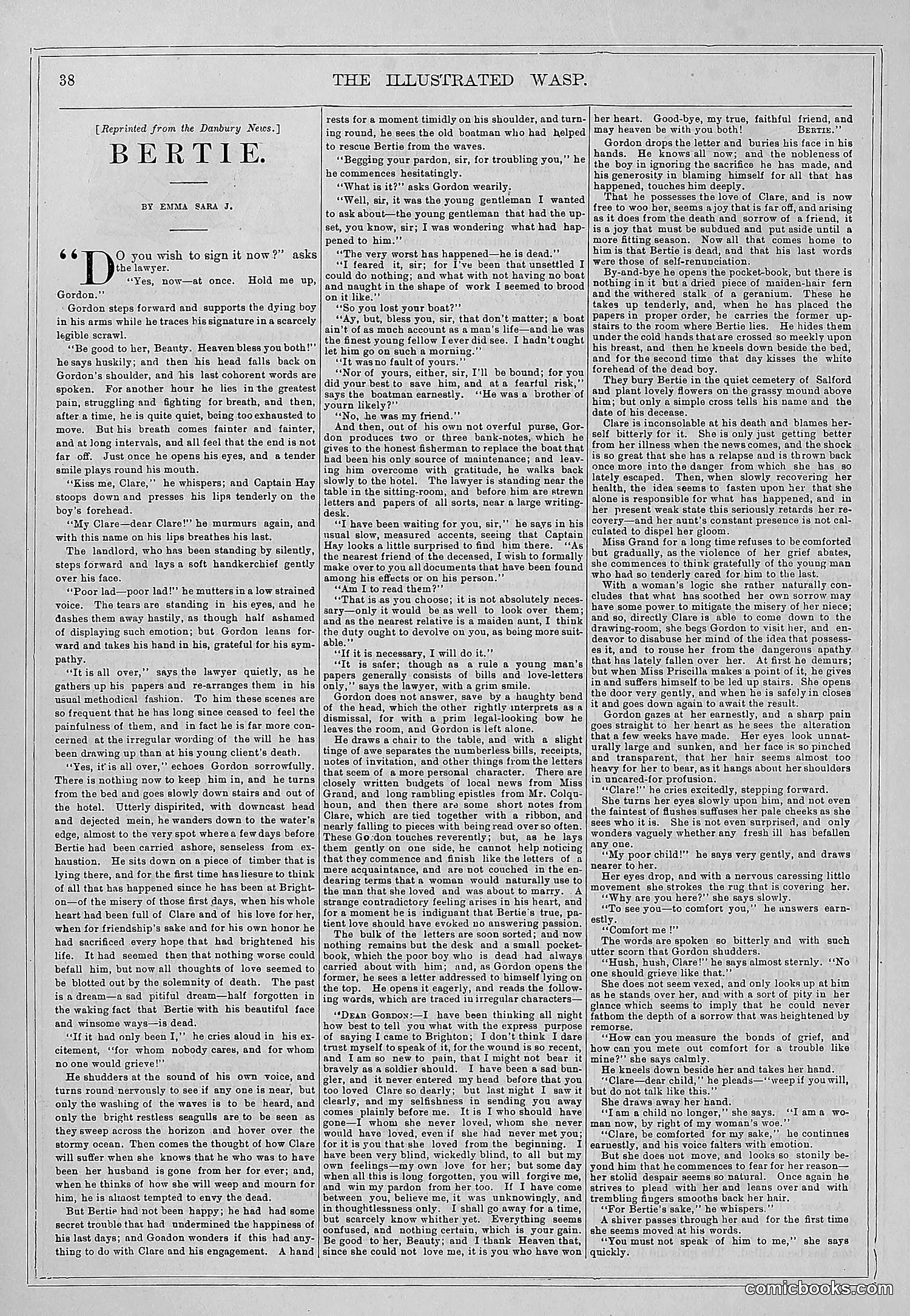 The Wasp — 1878 — page 45 of 364