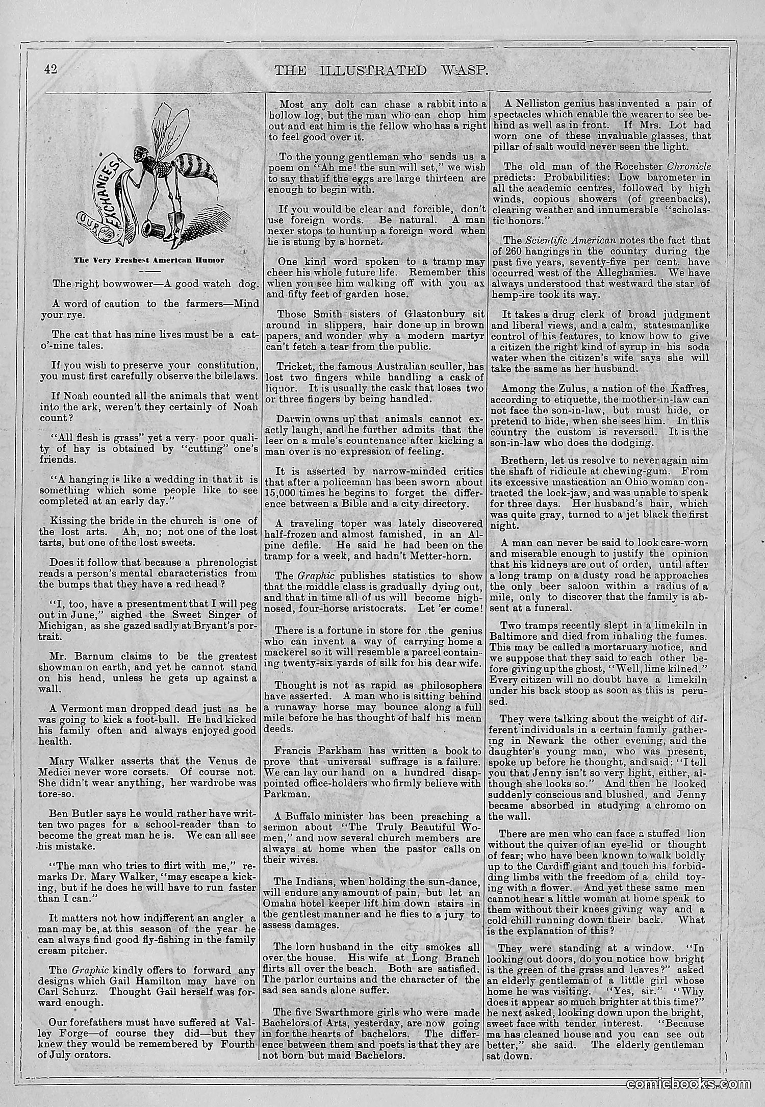 The Wasp — 1878 — page 49 of 364